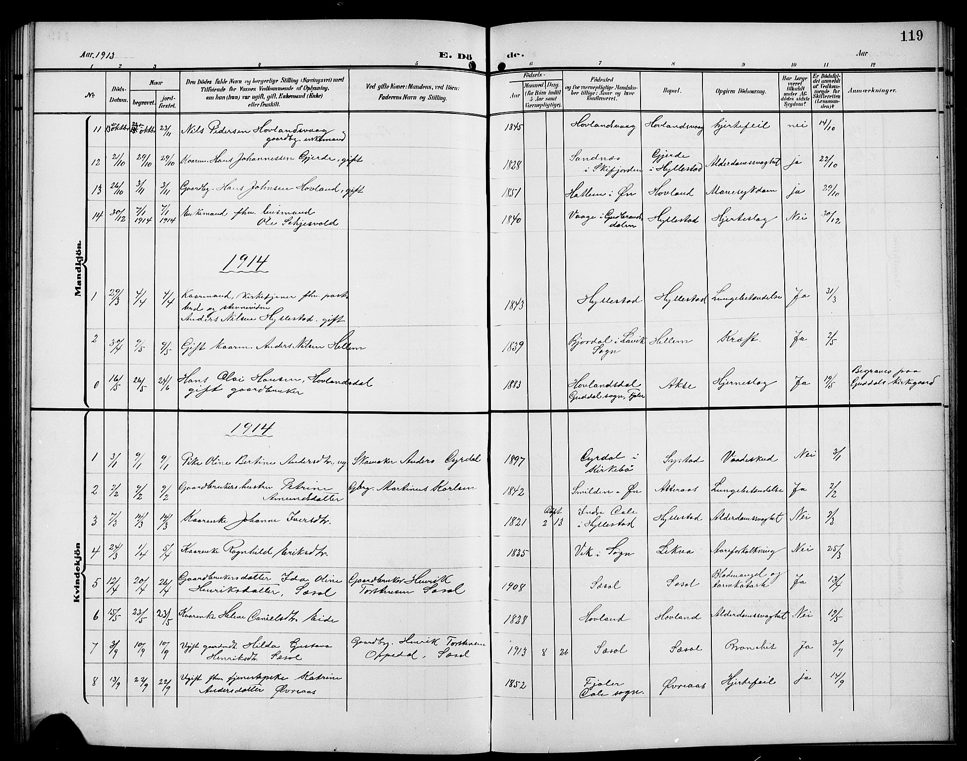 Hyllestad sokneprestembete, SAB/A-80401: Parish register (copy) no. A 3, 1906-1925, p. 119