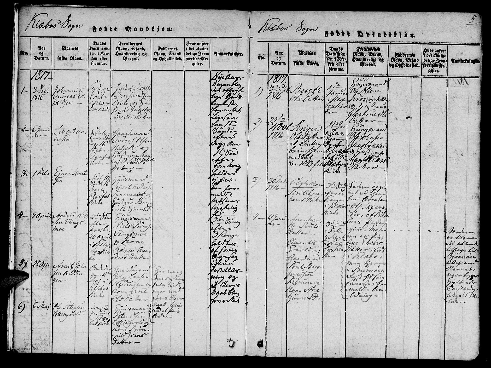 Ministerialprotokoller, klokkerbøker og fødselsregistre - Sør-Trøndelag, SAT/A-1456/618/L0439: Parish register (official) no. 618A04 /1, 1816-1843, p. 5