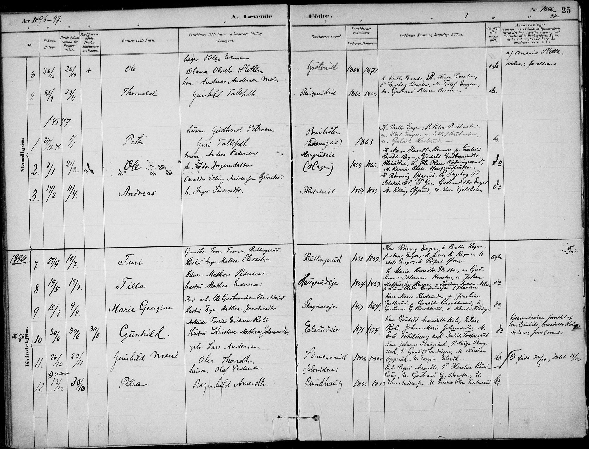 Ådal kirkebøker, AV/SAKO-A-248/F/Fa/L0003: Parish register (official) no. I 3, 1884-1903, p. 25