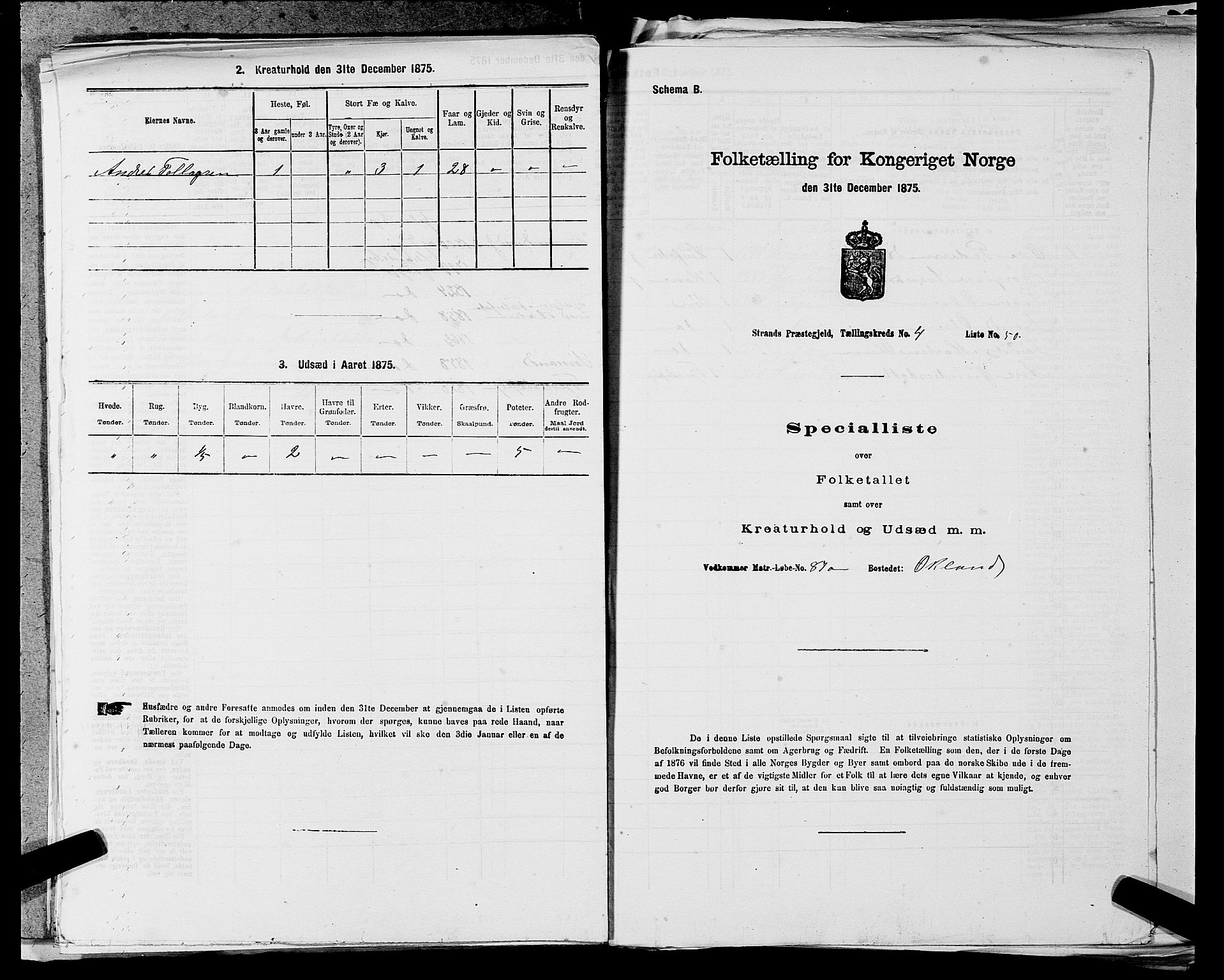 SAST, 1875 census for 1130P Strand, 1875, p. 441