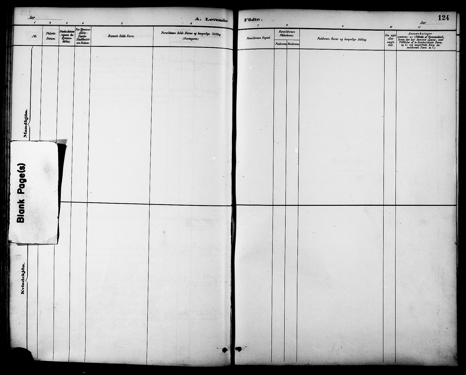 Ministerialprotokoller, klokkerbøker og fødselsregistre - Nordland, SAT/A-1459/847/L0669: Parish register (official) no. 847A09, 1887-1901, p. 124