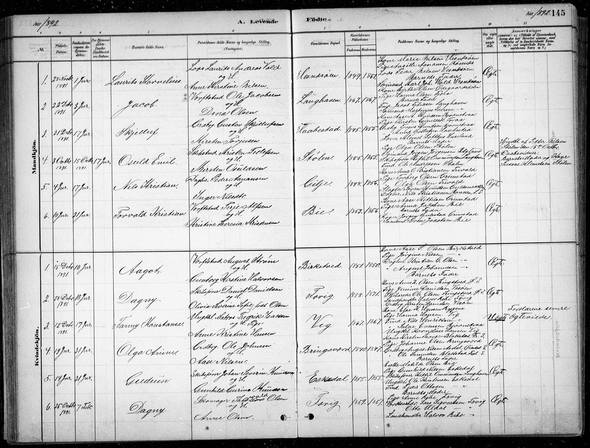 Fjære sokneprestkontor, SAK/1111-0011/F/Fb/L0011: Parish register (copy) no. B 11, 1881-1905, p. 145