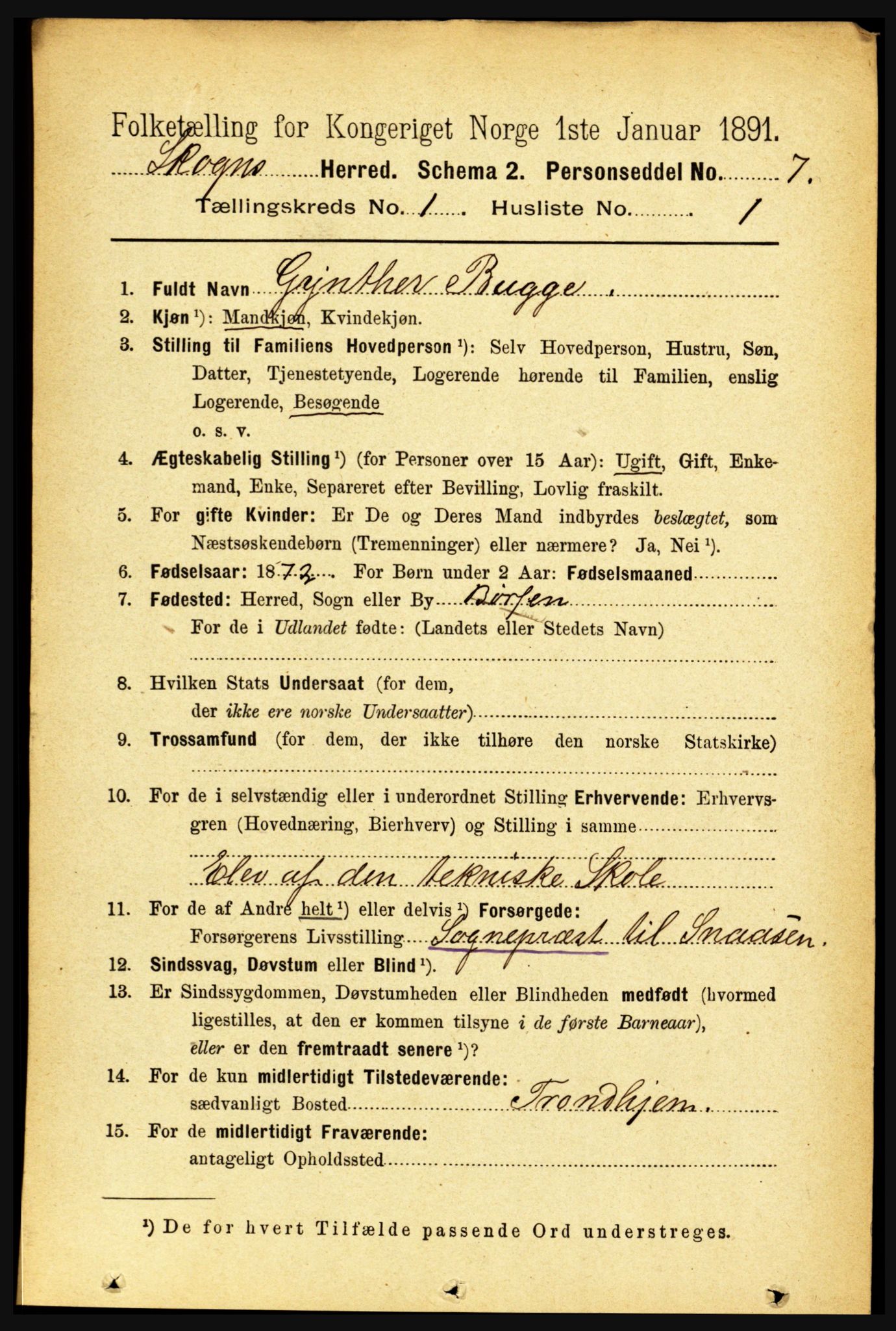 RA, 1891 census for 1719 Skogn, 1891, p. 153