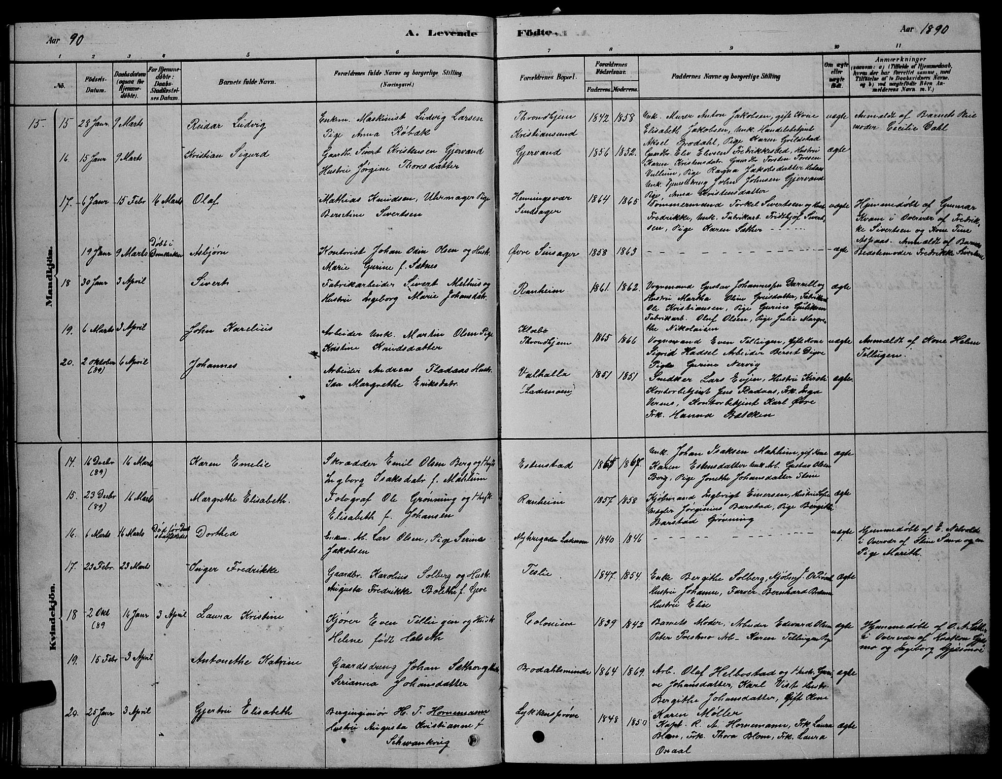 Ministerialprotokoller, klokkerbøker og fødselsregistre - Sør-Trøndelag, AV/SAT-A-1456/606/L0312: Parish register (copy) no. 606C08, 1878-1894