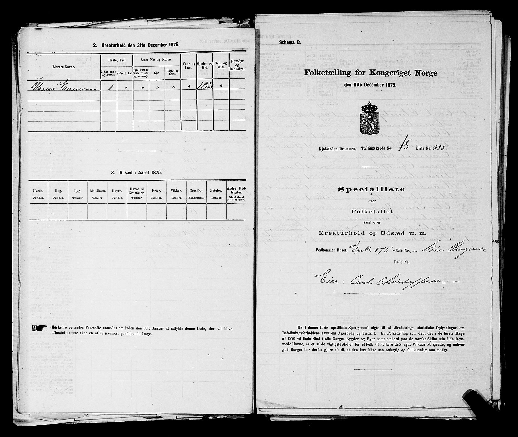 SAKO, 1875 census for 0602 Drammen, 1875, p. 1933