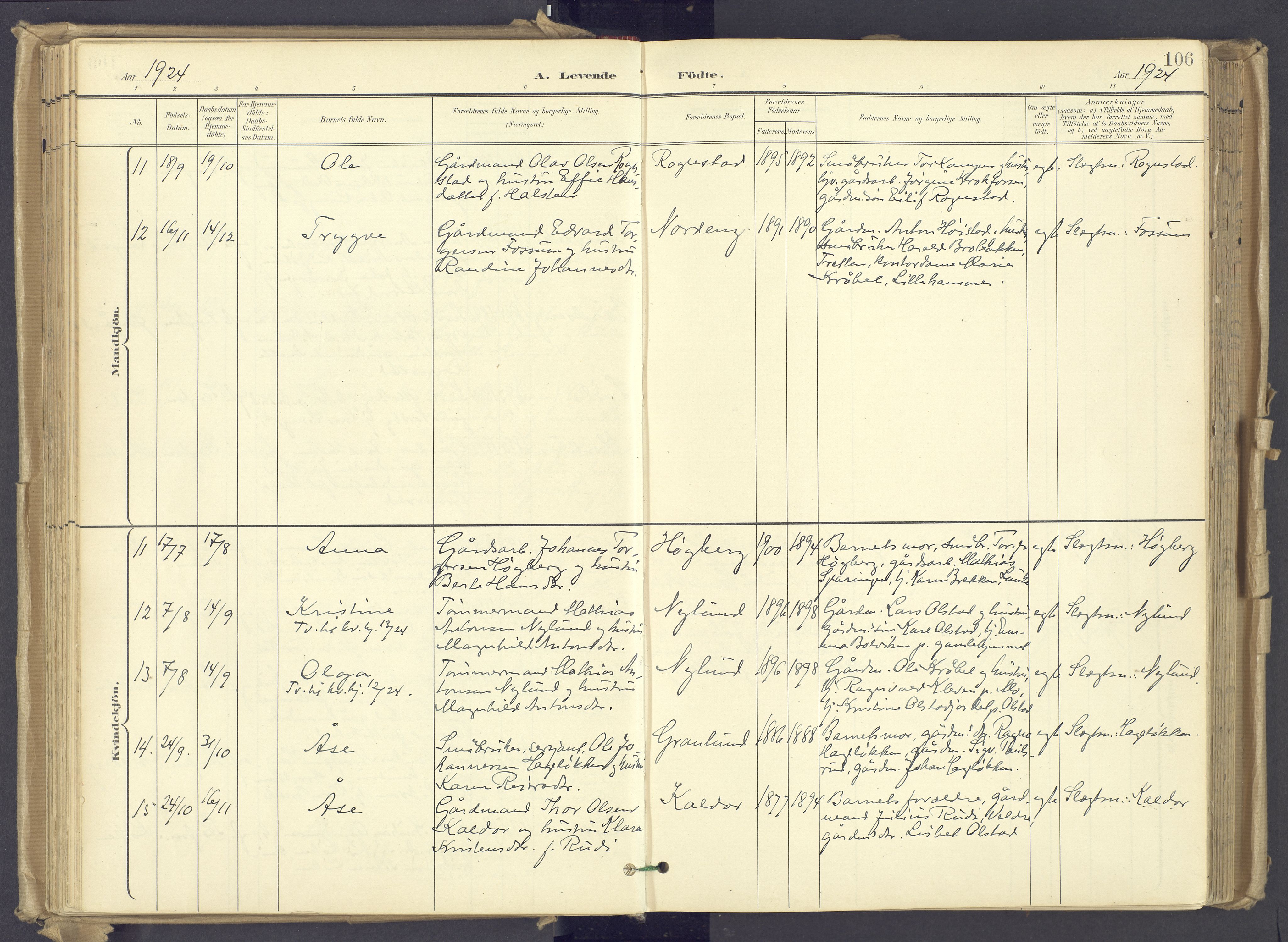 Øyer prestekontor, AV/SAH-PREST-084/H/Ha/Haa/L0012: Parish register (official) no. 12, 1897-1920, p. 106