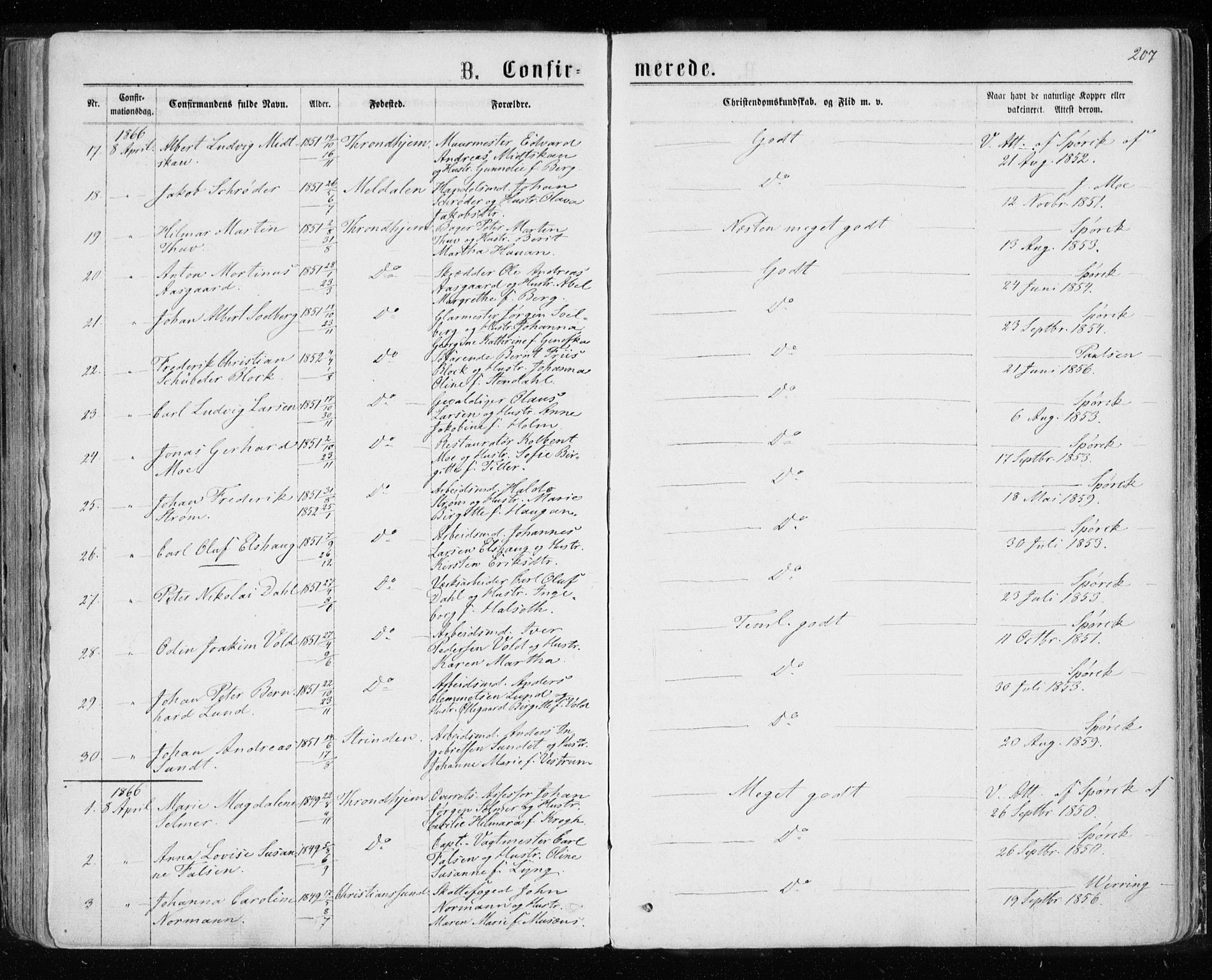 Ministerialprotokoller, klokkerbøker og fødselsregistre - Sør-Trøndelag, SAT/A-1456/601/L0054: Parish register (official) no. 601A22, 1866-1877, p. 207