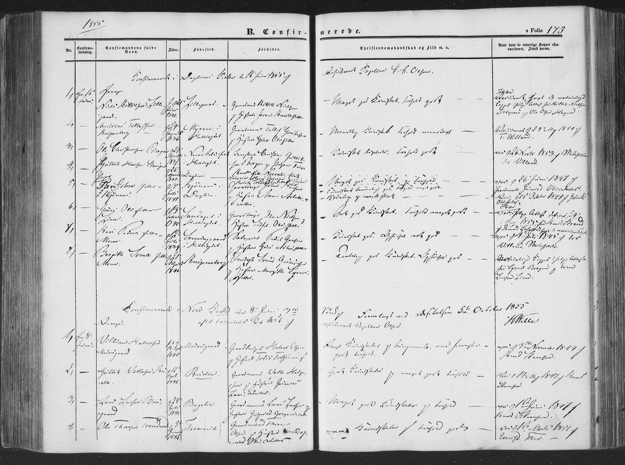 Rollag kirkebøker, SAKO/A-240/F/Fa/L0008: Parish register (official) no. I 8, 1847-1860, p. 173