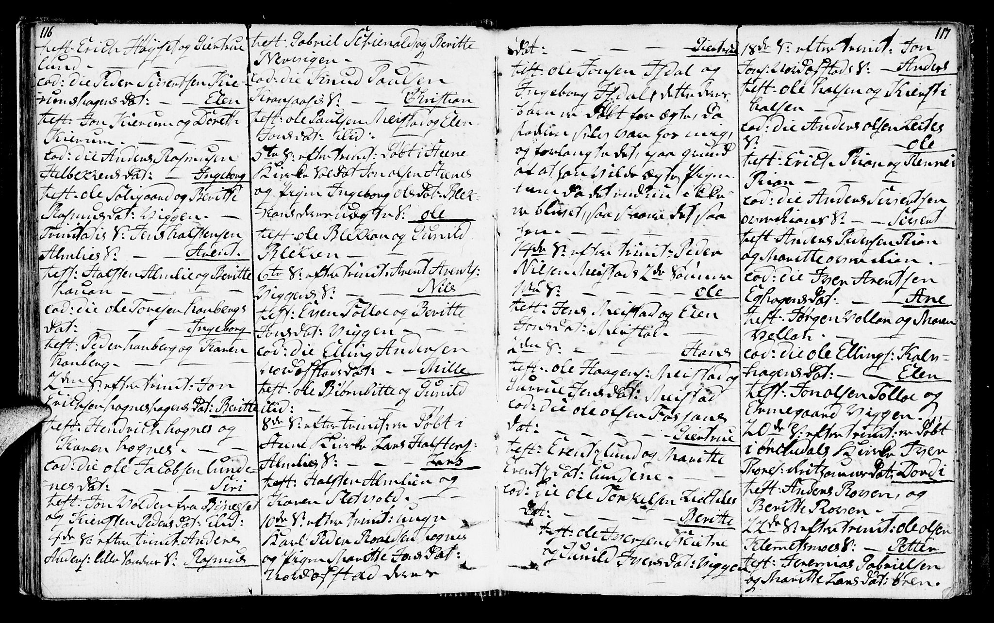 Ministerialprotokoller, klokkerbøker og fødselsregistre - Sør-Trøndelag, SAT/A-1456/665/L0769: Parish register (official) no. 665A04, 1803-1816, p. 116-117