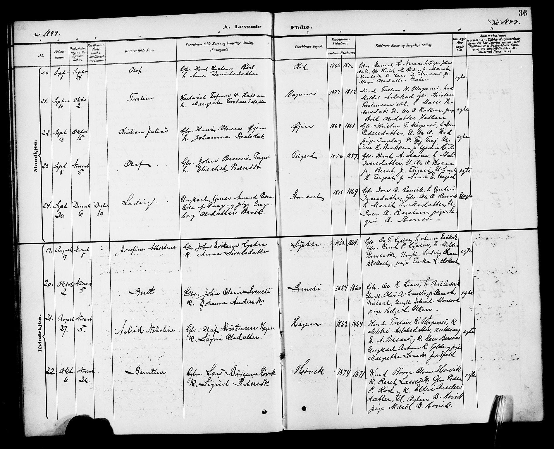 Ministerialprotokoller, klokkerbøker og fødselsregistre - Møre og Romsdal, AV/SAT-A-1454/551/L0632: Parish register (copy) no. 551C04, 1894-1920, p. 36