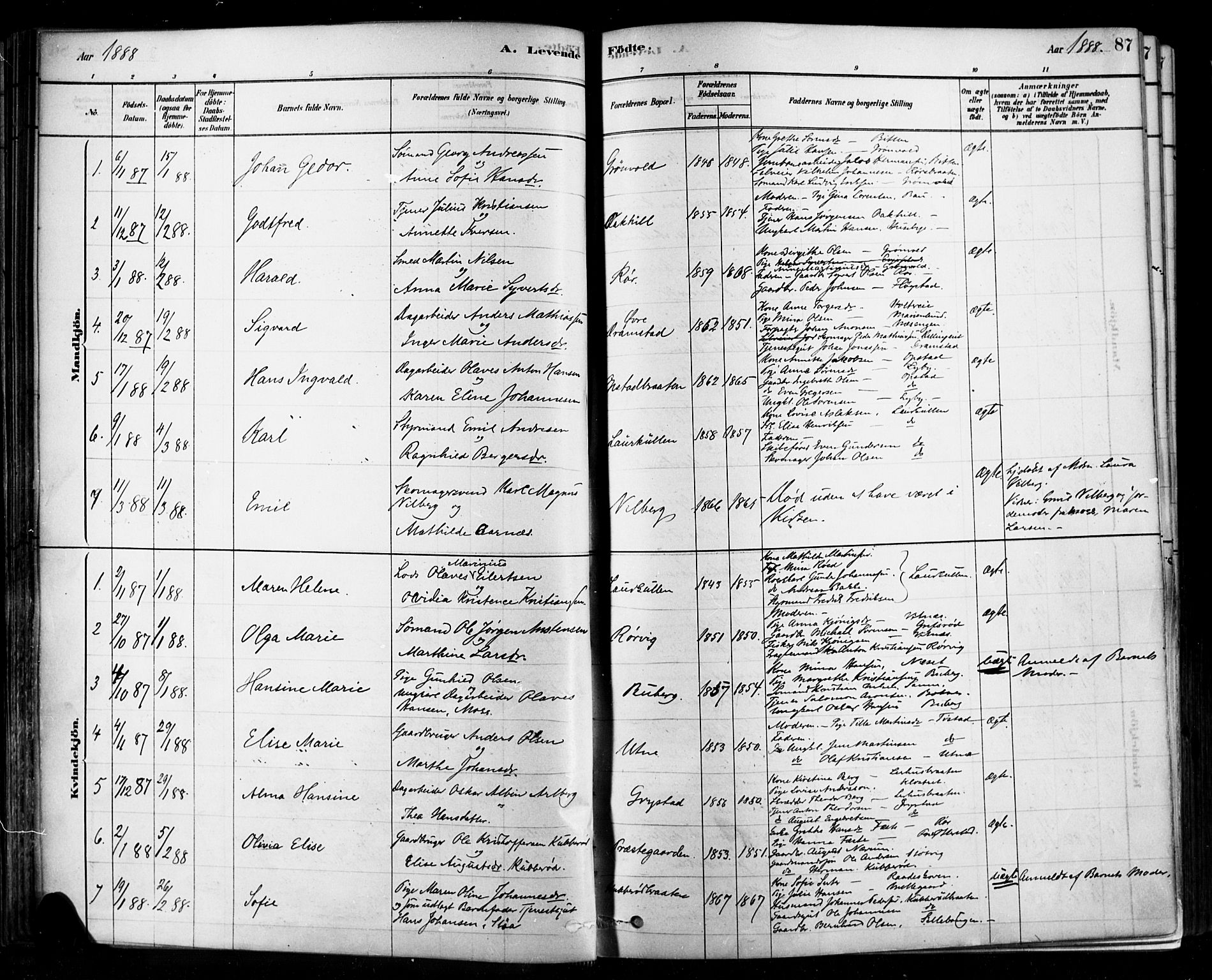 Rygge prestekontor Kirkebøker, AV/SAO-A-10084b/F/Fa/L0007: Parish register (official) no. 7, 1878-1904, p. 87