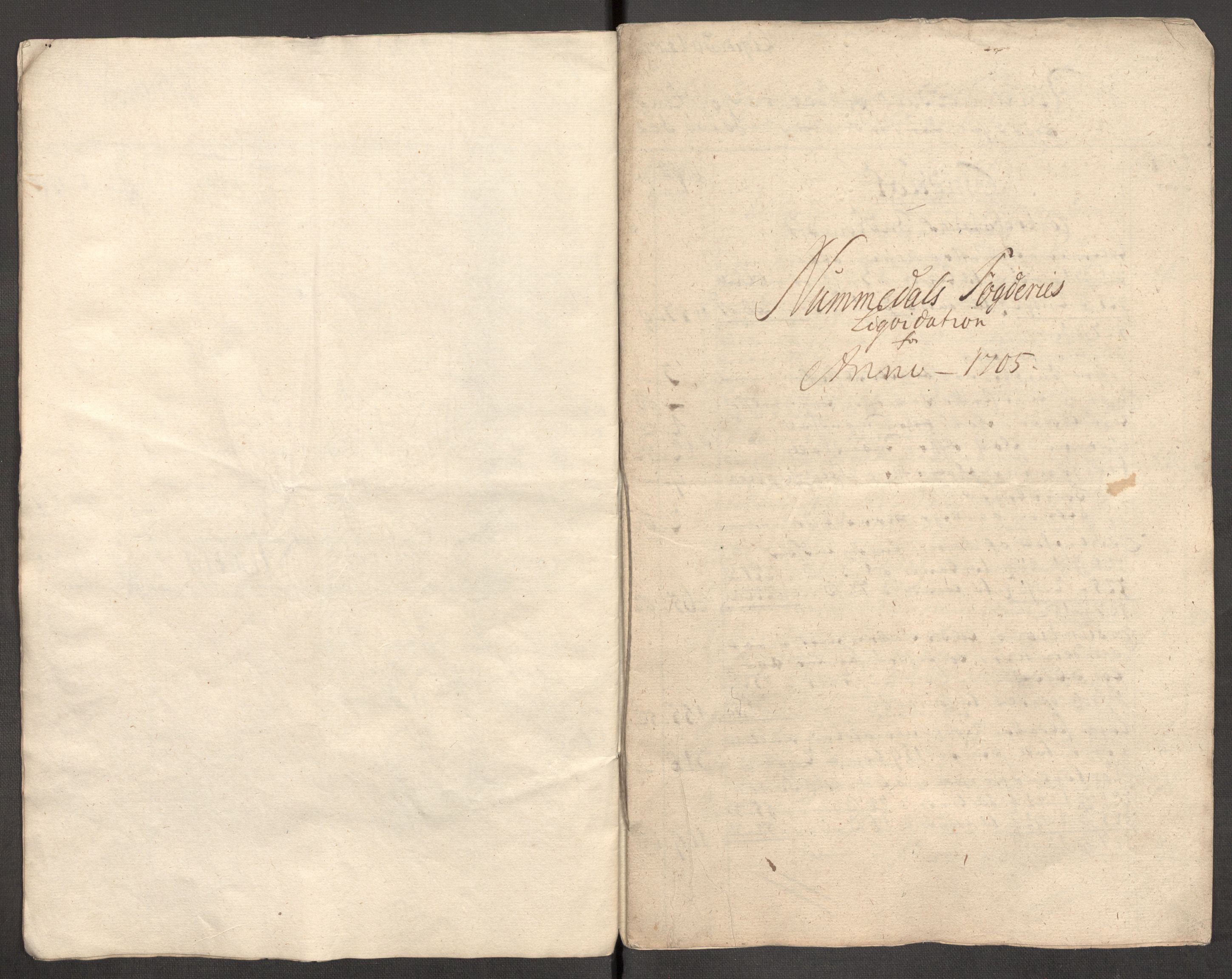 Rentekammeret inntil 1814, Reviderte regnskaper, Fogderegnskap, AV/RA-EA-4092/R64/L4429: Fogderegnskap Namdal, 1705-1706, p. 10