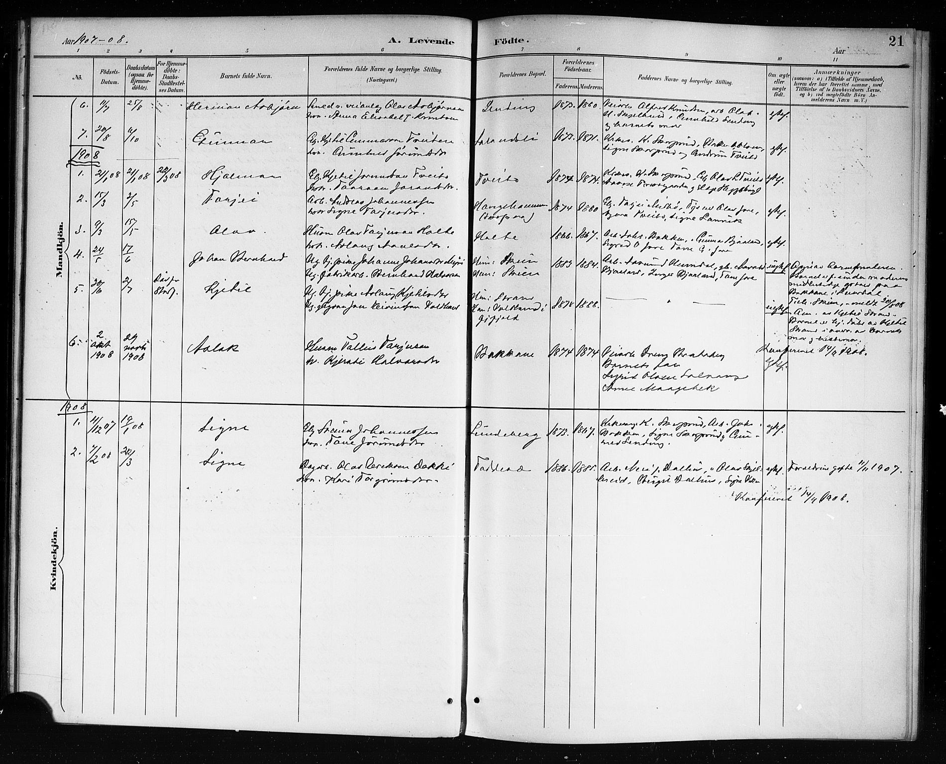 Lårdal kirkebøker, SAKO/A-284/G/Ga/L0003: Parish register (copy) no. I 3, 1891-1918, p. 21