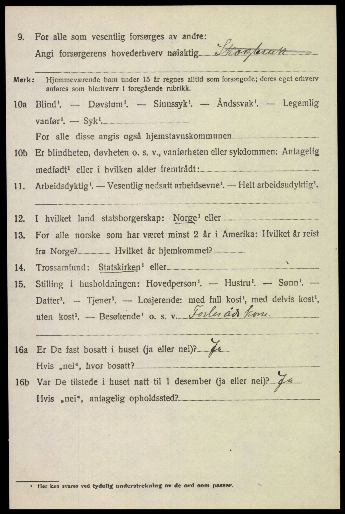 SAH, 1920 census for Trysil, 1920, p. 4074