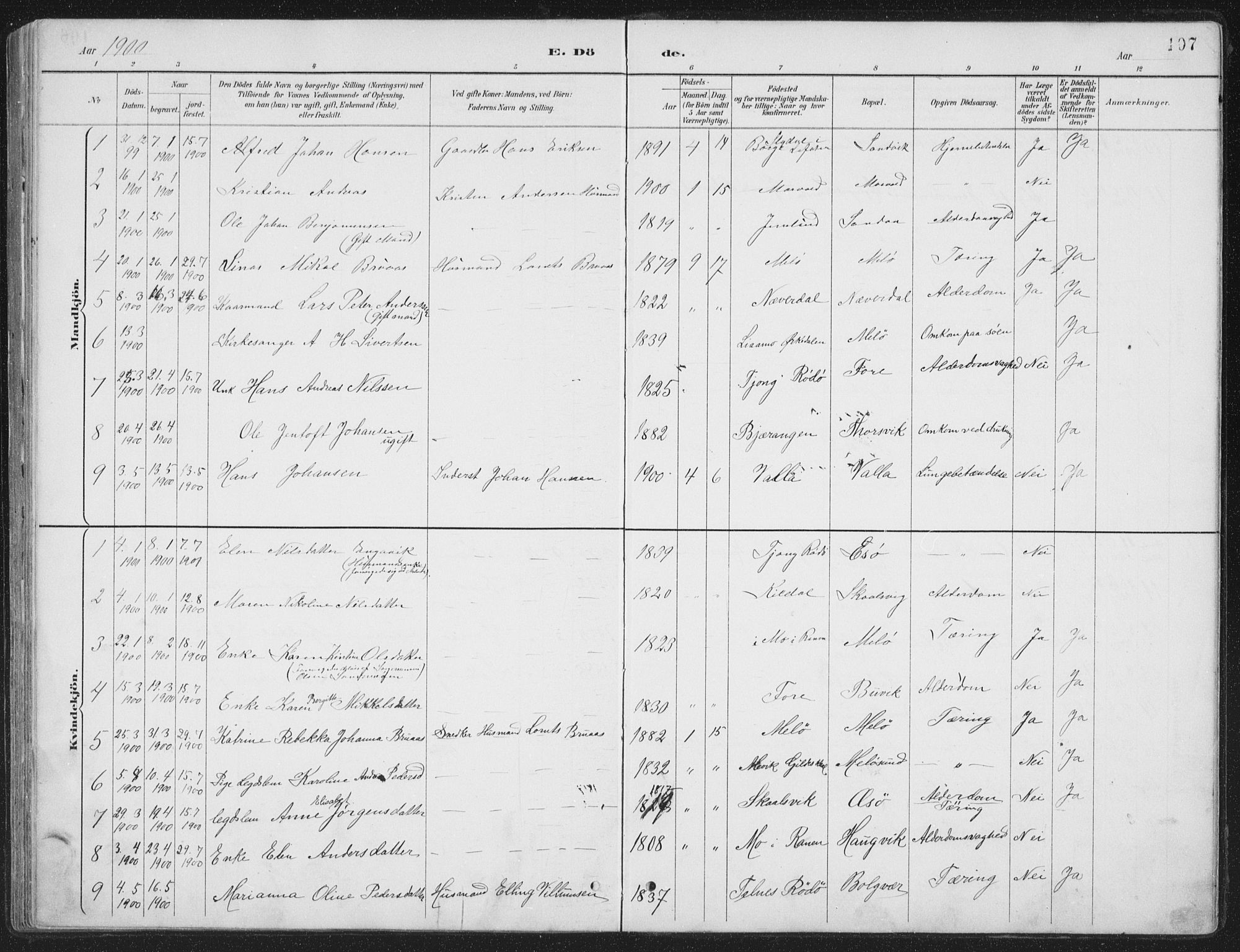 Ministerialprotokoller, klokkerbøker og fødselsregistre - Nordland, SAT/A-1459/843/L0638: Parish register (copy) no. 843C07, 1888-1907, p. 107