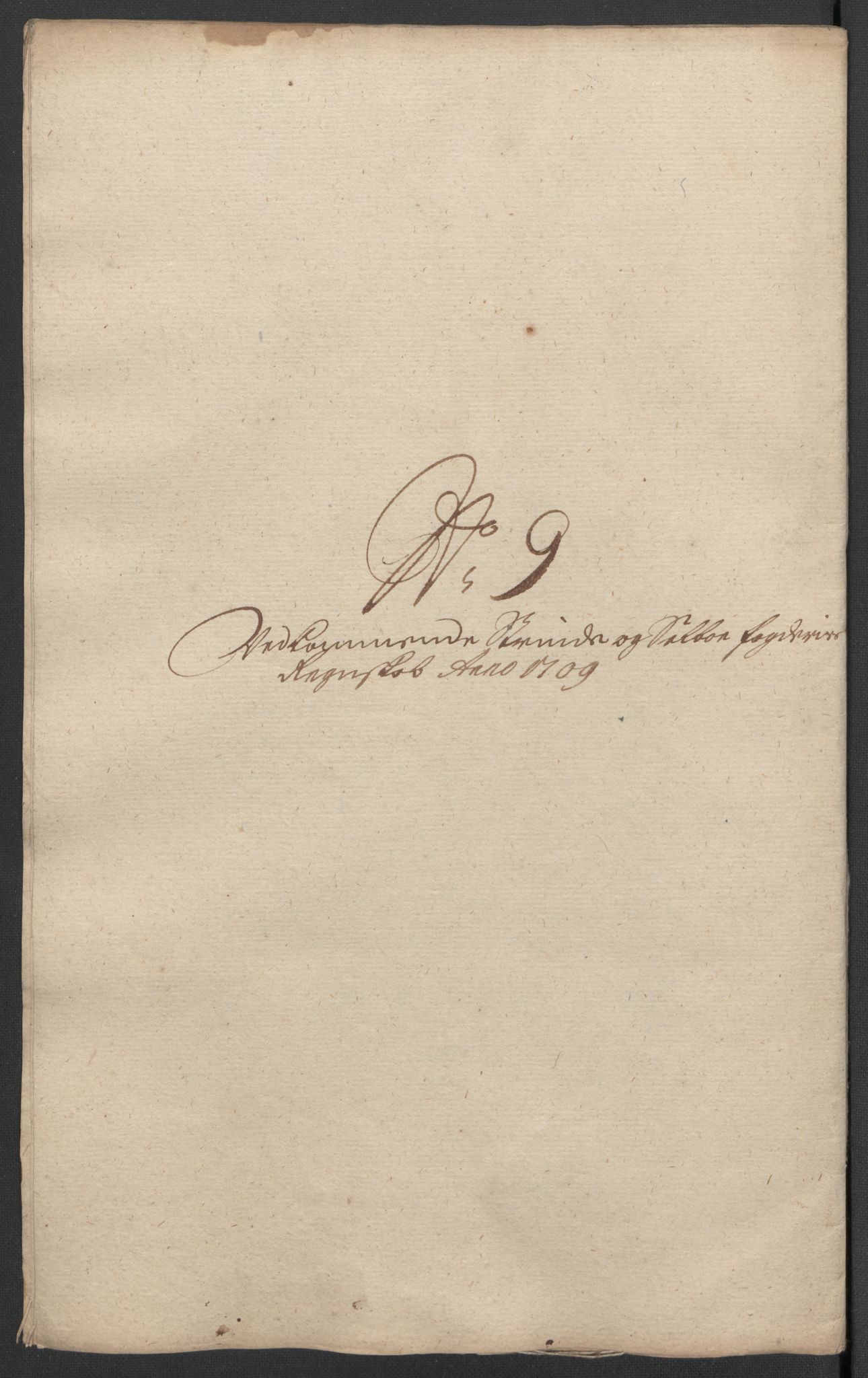 Rentekammeret inntil 1814, Reviderte regnskaper, Fogderegnskap, RA/EA-4092/R61/L4111: Fogderegnskap Strinda og Selbu, 1709-1710, p. 118
