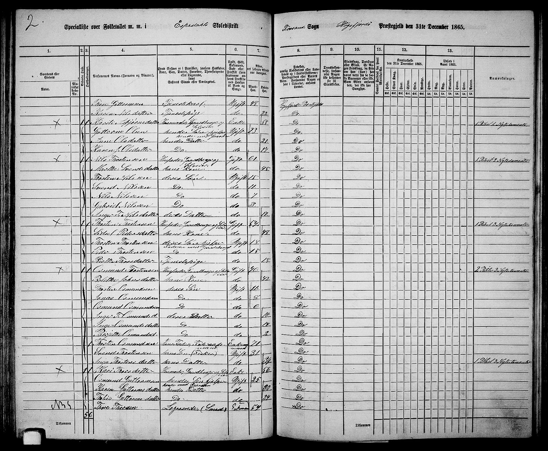 RA, 1865 census for Høgsfjord, 1865, p. 62