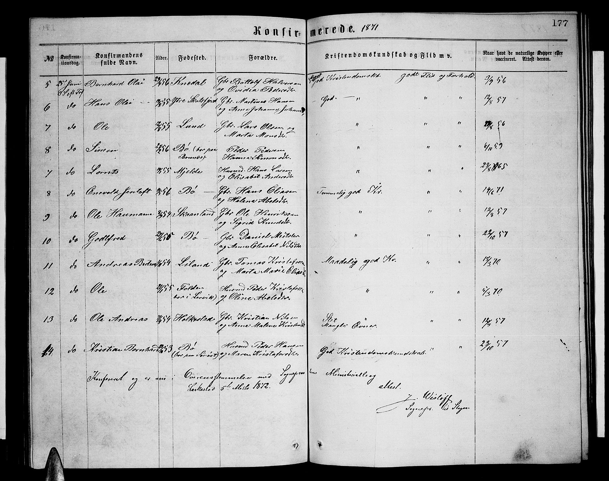 Ministerialprotokoller, klokkerbøker og fødselsregistre - Nordland, AV/SAT-A-1459/855/L0815: Parish register (copy) no. 855C04, 1865-1878, p. 177