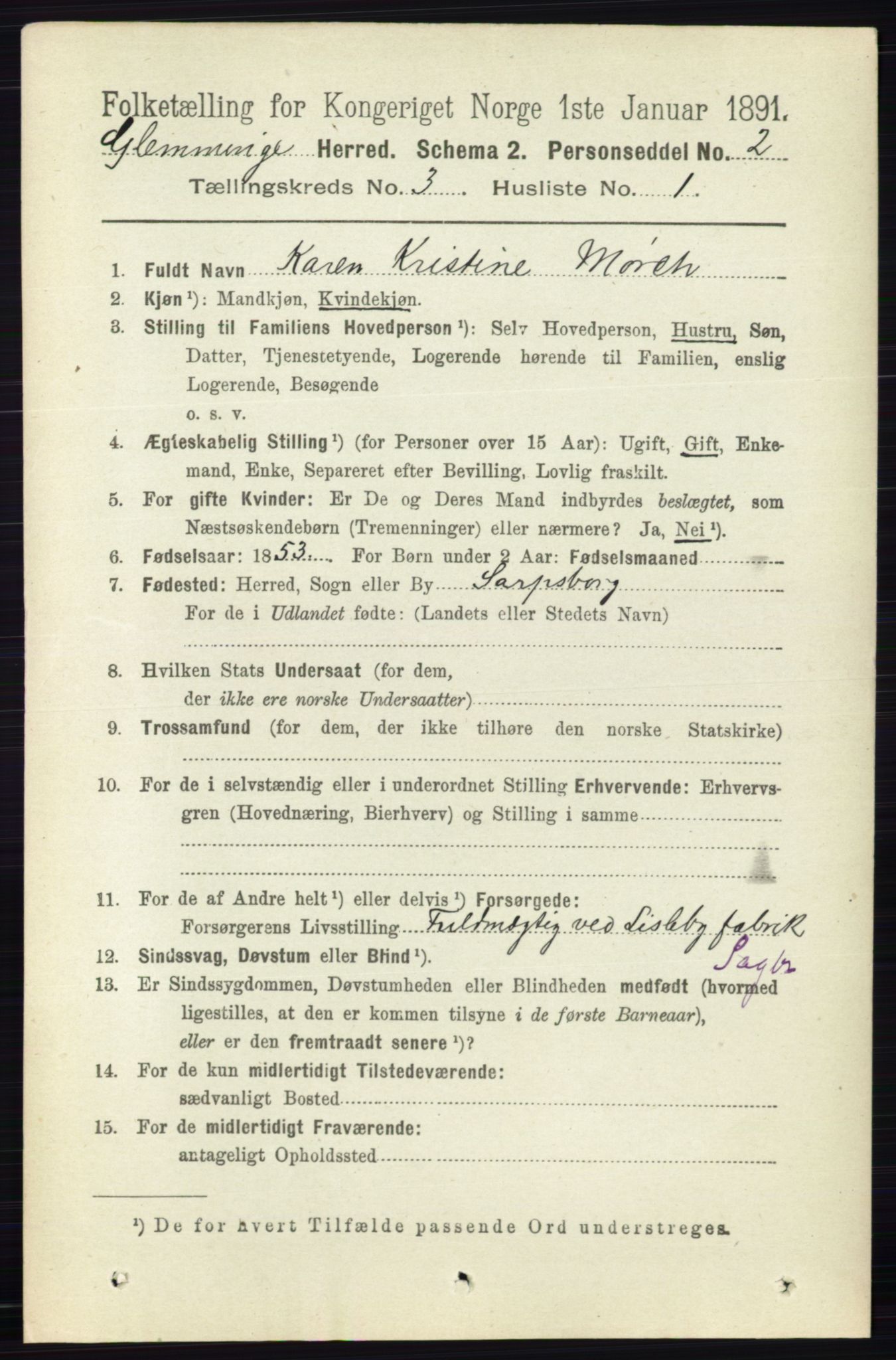 RA, 1891 census for 0132 Glemmen, 1891, p. 1943