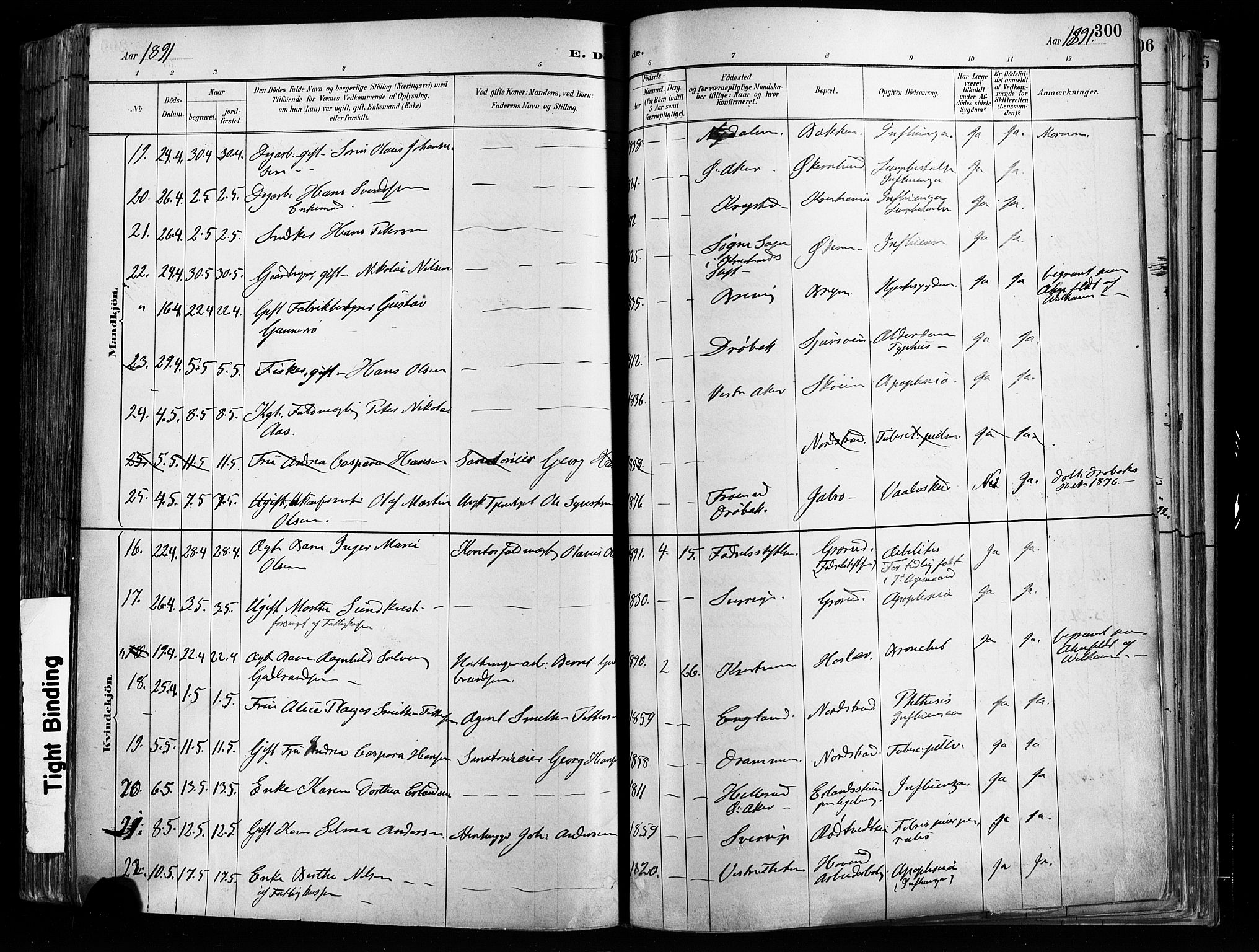 Østre Aker prestekontor Kirkebøker, SAO/A-10840/F/Fa/L0008: Parish register (official) no. I 8, 1883-1894, p. 300