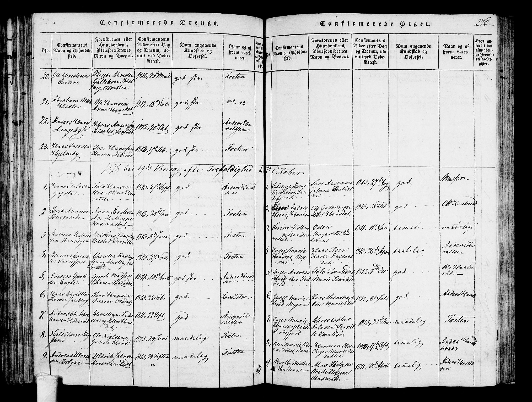 Sandar kirkebøker, SAKO/A-243/F/Fa/L0004: Parish register (official) no. 4, 1814-1832, p. 276