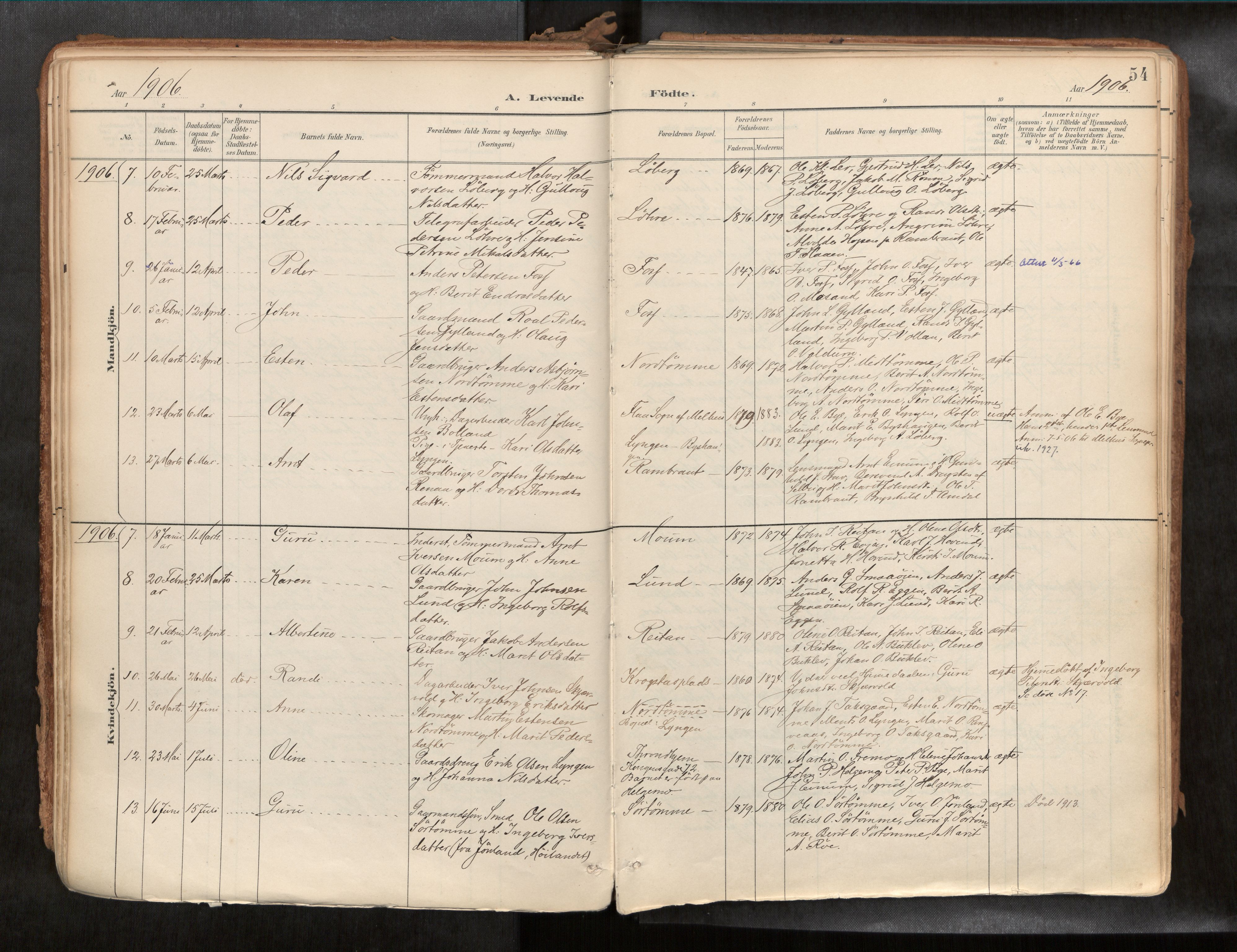 Ministerialprotokoller, klokkerbøker og fødselsregistre - Sør-Trøndelag, SAT/A-1456/692/L1105b: Parish register (official) no. 692A06, 1891-1934, p. 54