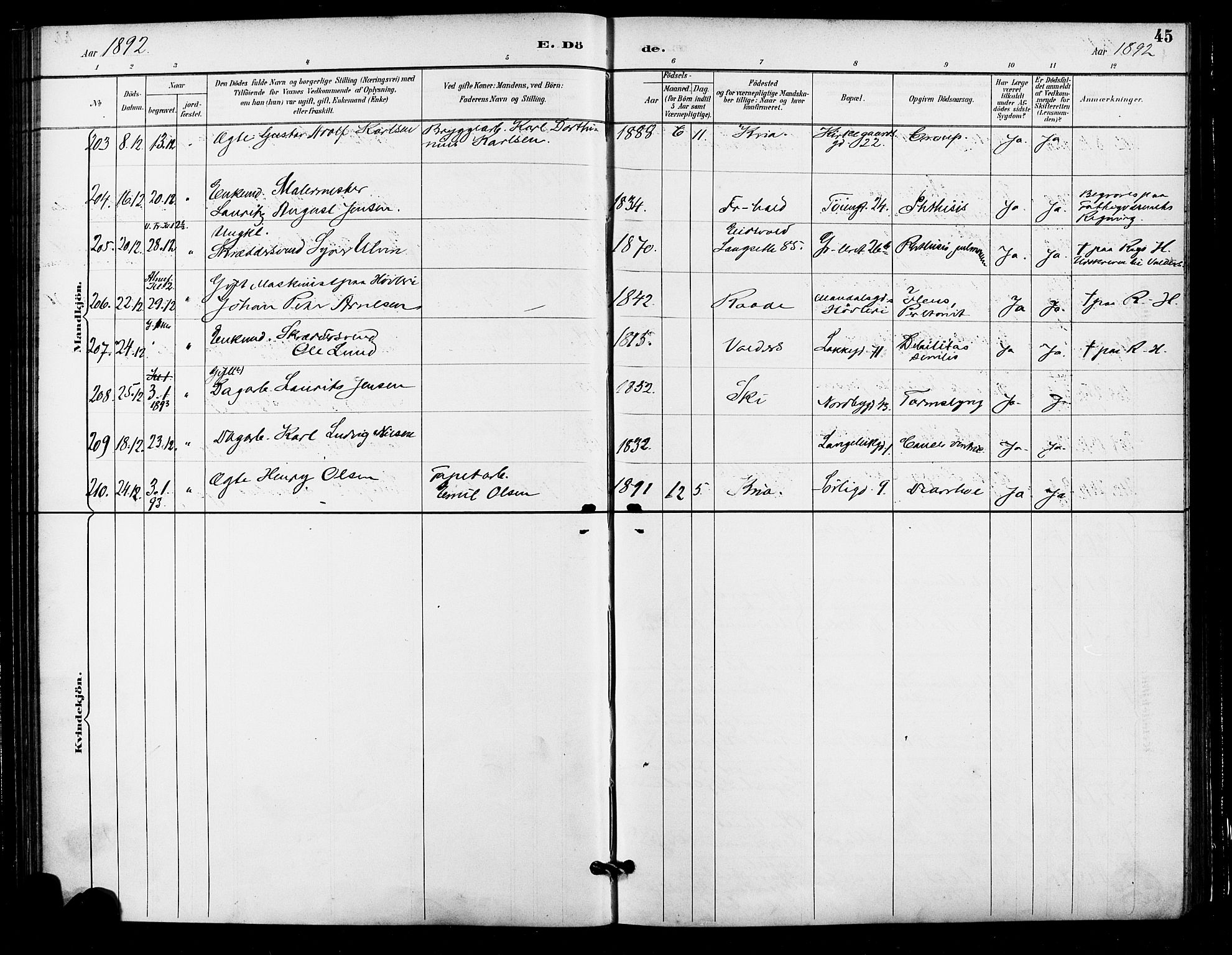 Grønland prestekontor Kirkebøker, SAO/A-10848/F/Fa/L0010: Parish register (official) no. 10, 1891-1898, p. 45