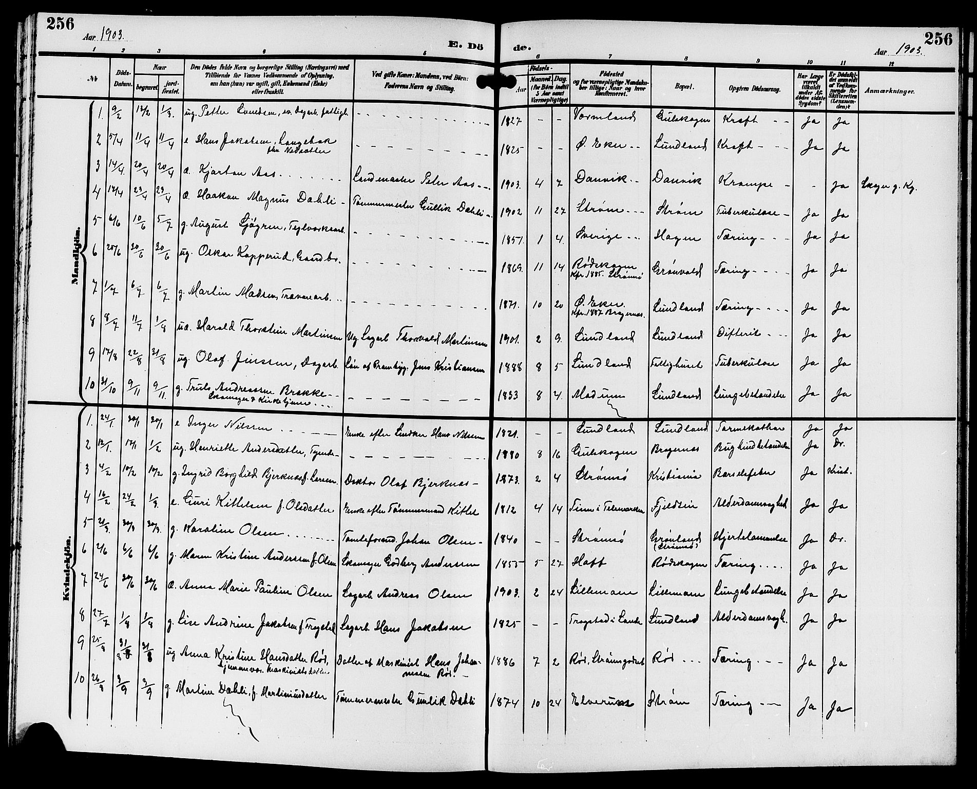 Strømsgodset kirkebøker, AV/SAKO-A-324/G/Ga/L0002: Parish register (copy) no. 2, 1885-1910, p. 256