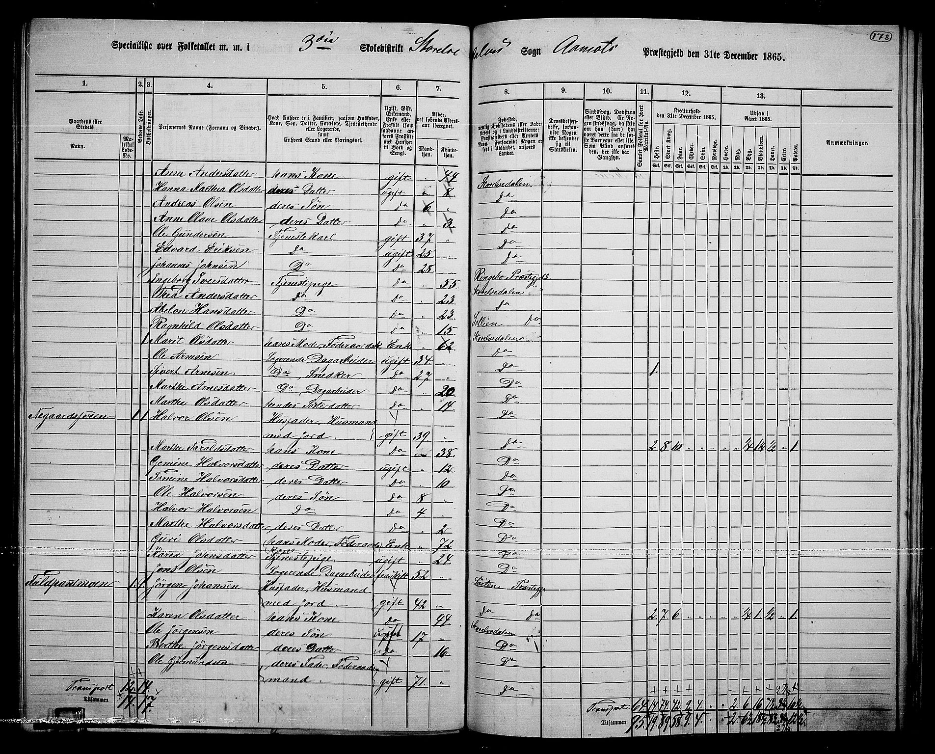 RA, 1865 census for Åmot, 1865, p. 154