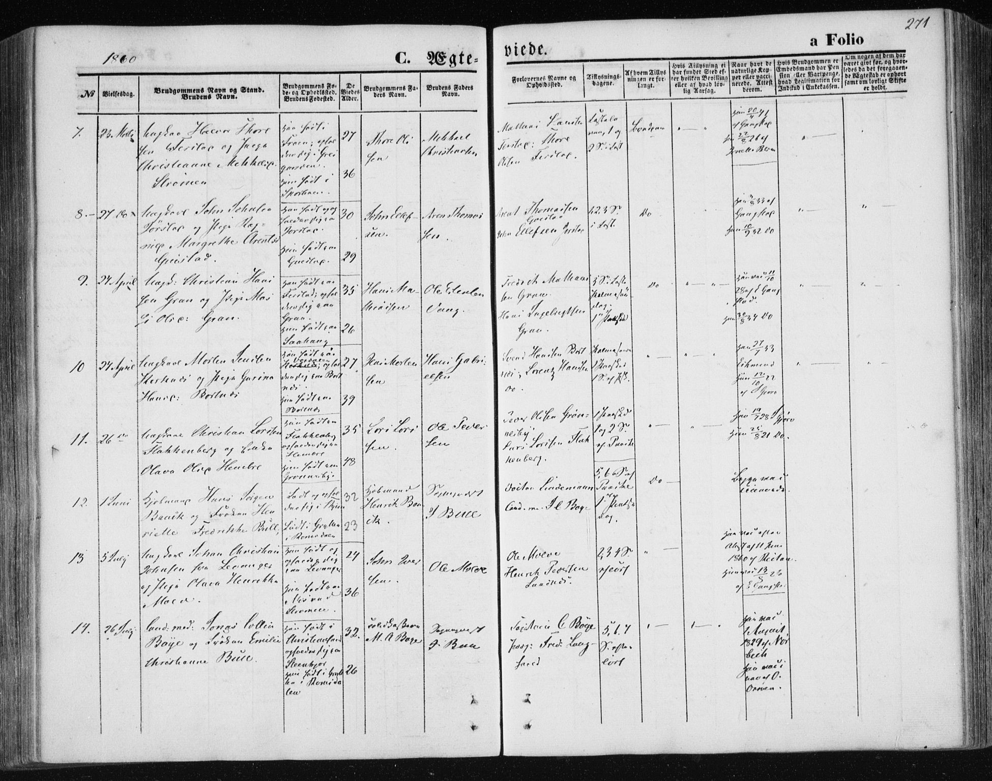 Ministerialprotokoller, klokkerbøker og fødselsregistre - Nord-Trøndelag, AV/SAT-A-1458/730/L0283: Parish register (official) no. 730A08, 1855-1865, p. 271