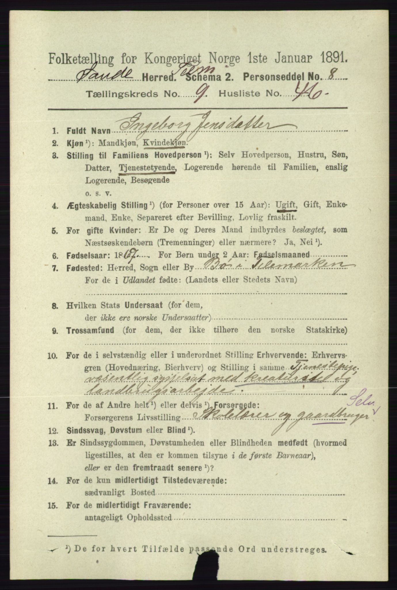 RA, 1891 census for 0822 Sauherad, 1891, p. 2931