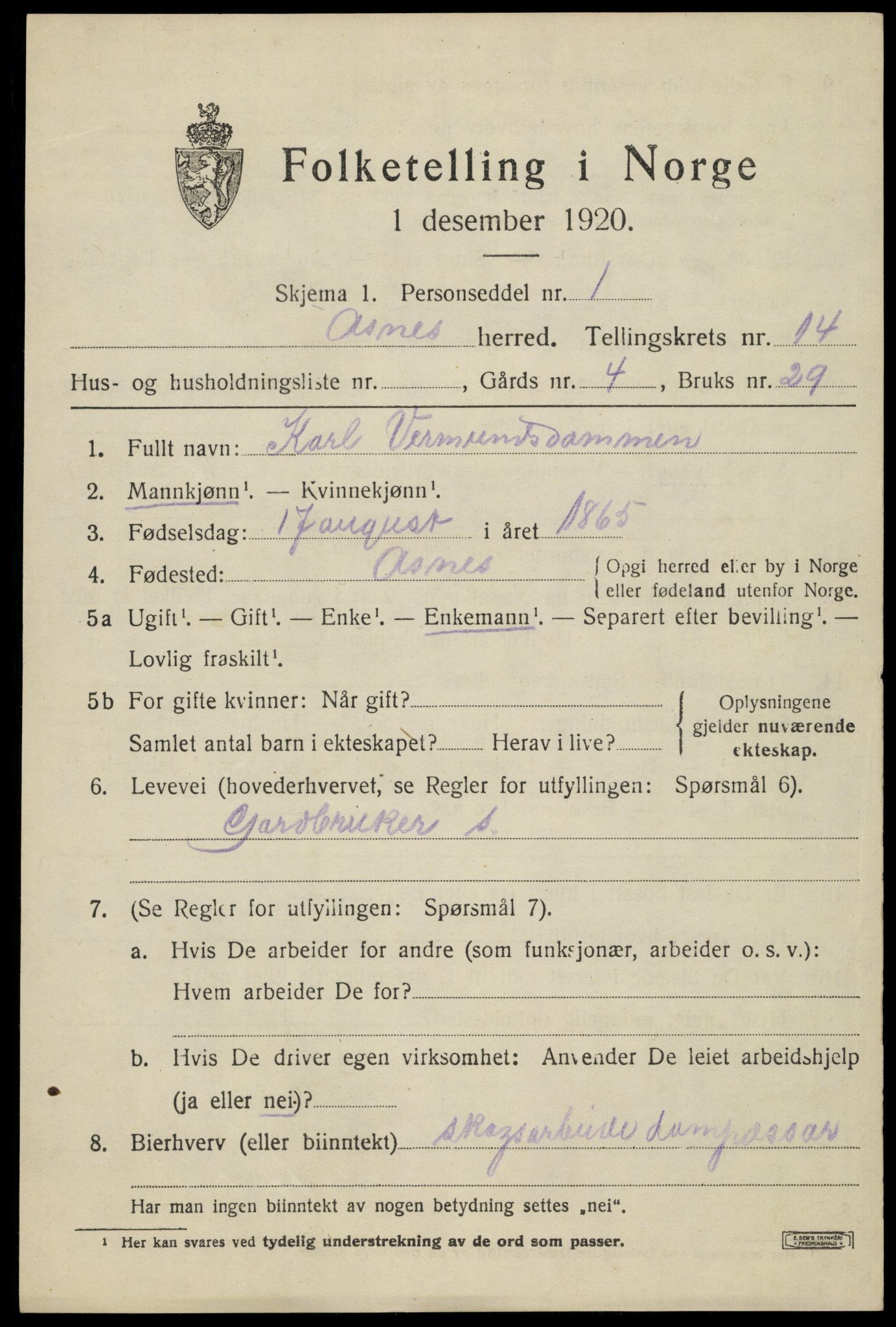 SAH, 1920 census for Åsnes, 1920, p. 13344