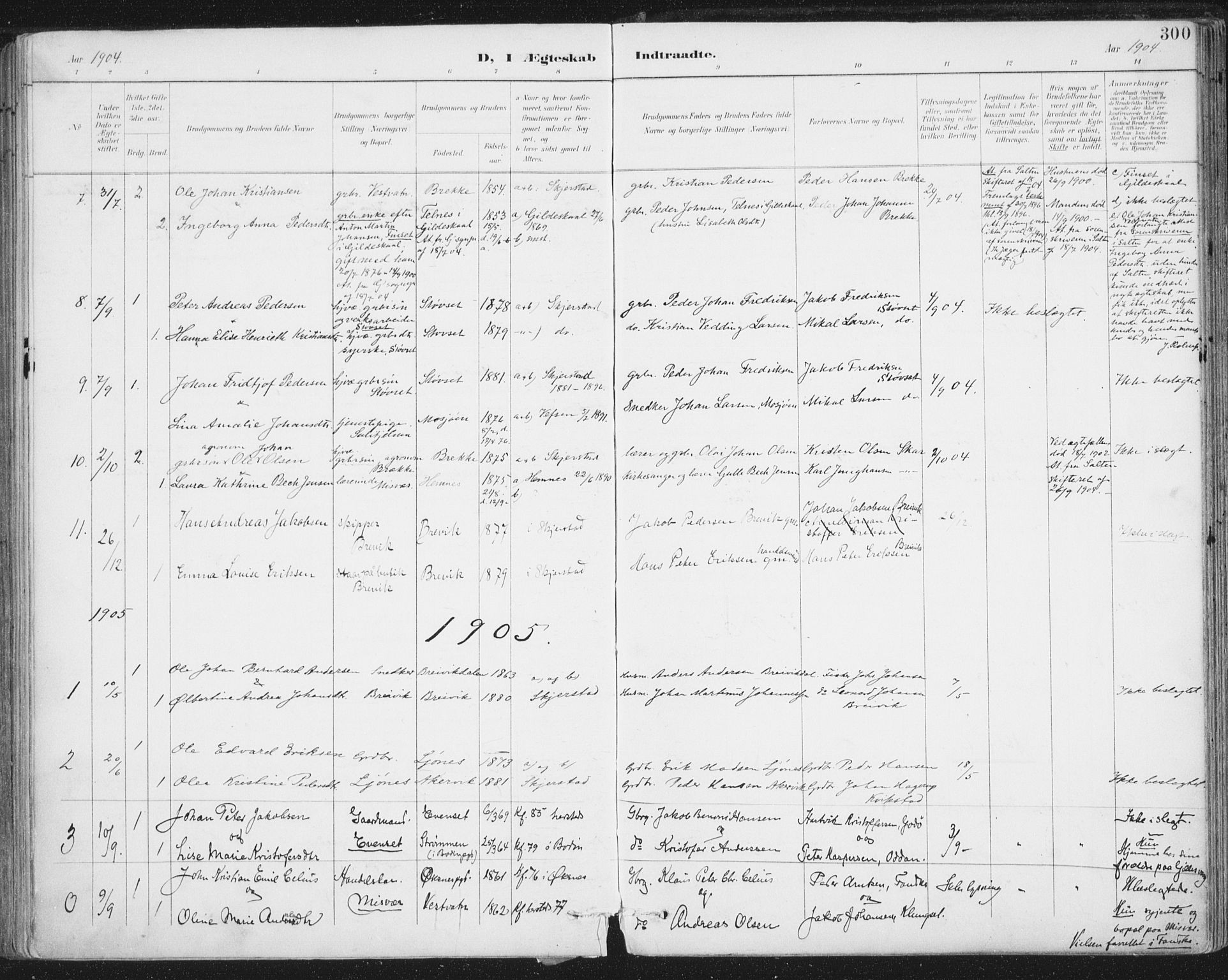Ministerialprotokoller, klokkerbøker og fødselsregistre - Nordland, SAT/A-1459/852/L0741: Parish register (official) no. 852A11, 1894-1917, p. 300