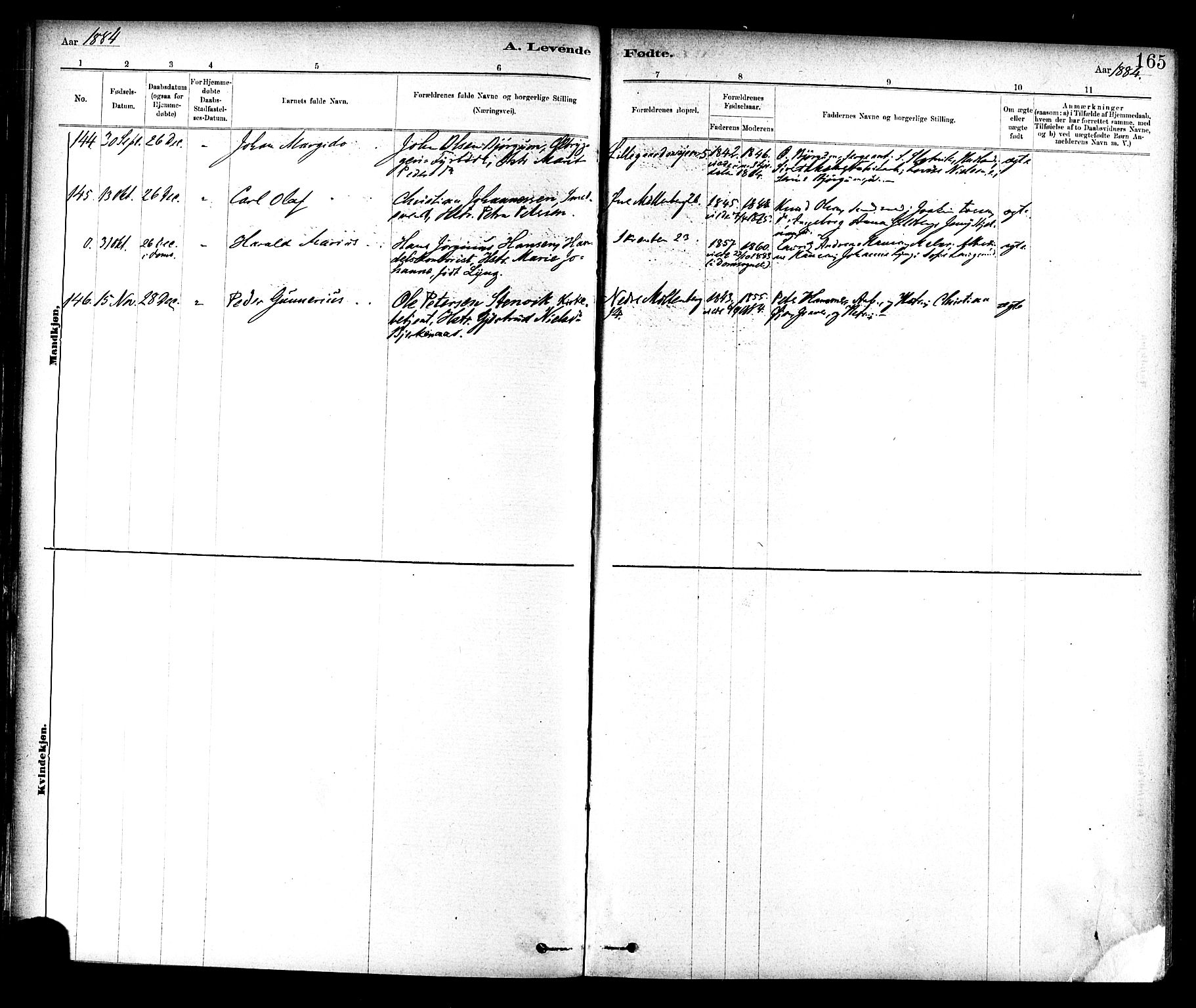 Ministerialprotokoller, klokkerbøker og fødselsregistre - Sør-Trøndelag, AV/SAT-A-1456/604/L0188: Parish register (official) no. 604A09, 1878-1892, p. 165