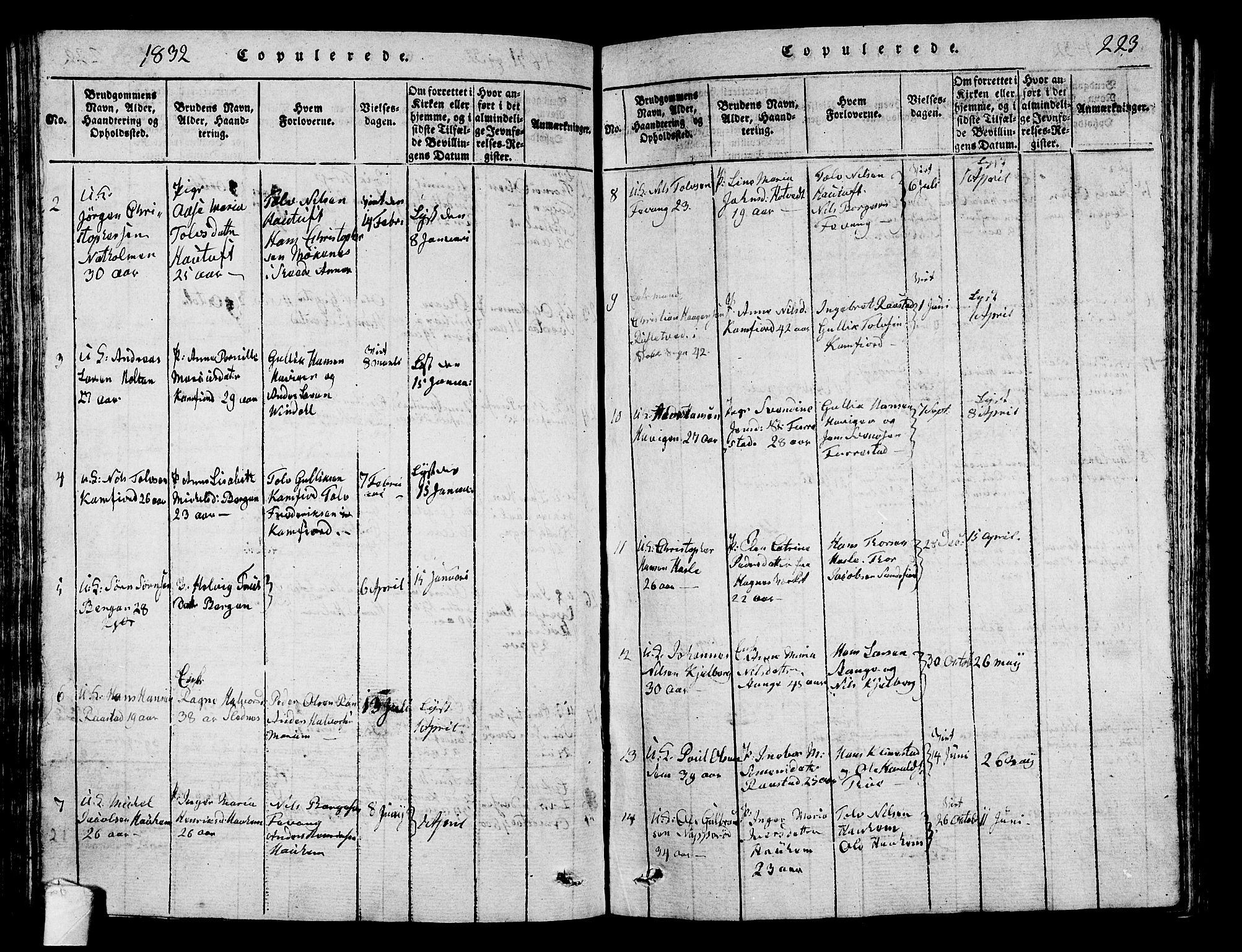 Sandar kirkebøker, AV/SAKO-A-243/G/Ga/L0001: Parish register (copy) no. 1, 1814-1835, p. 223