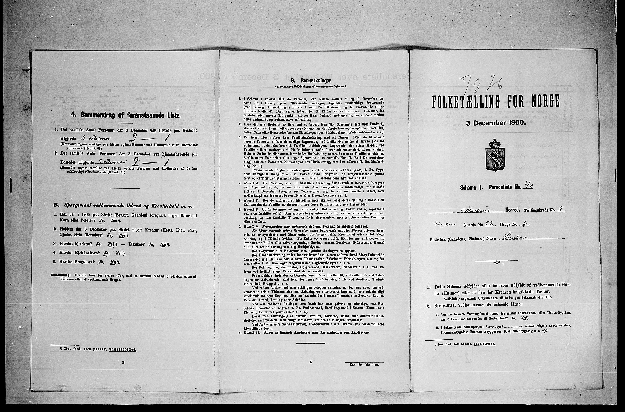 RA, 1900 census for Modum, 1900, p. 984