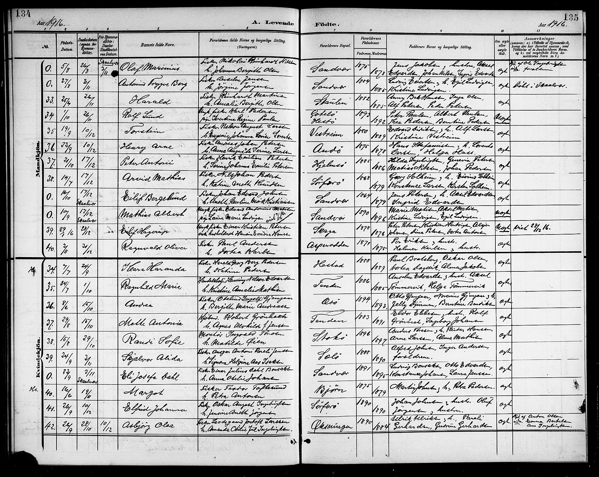 Ministerialprotokoller, klokkerbøker og fødselsregistre - Nordland, SAT/A-1459/834/L0516: Parish register (copy) no. 834C06, 1902-1918, p. 134-135