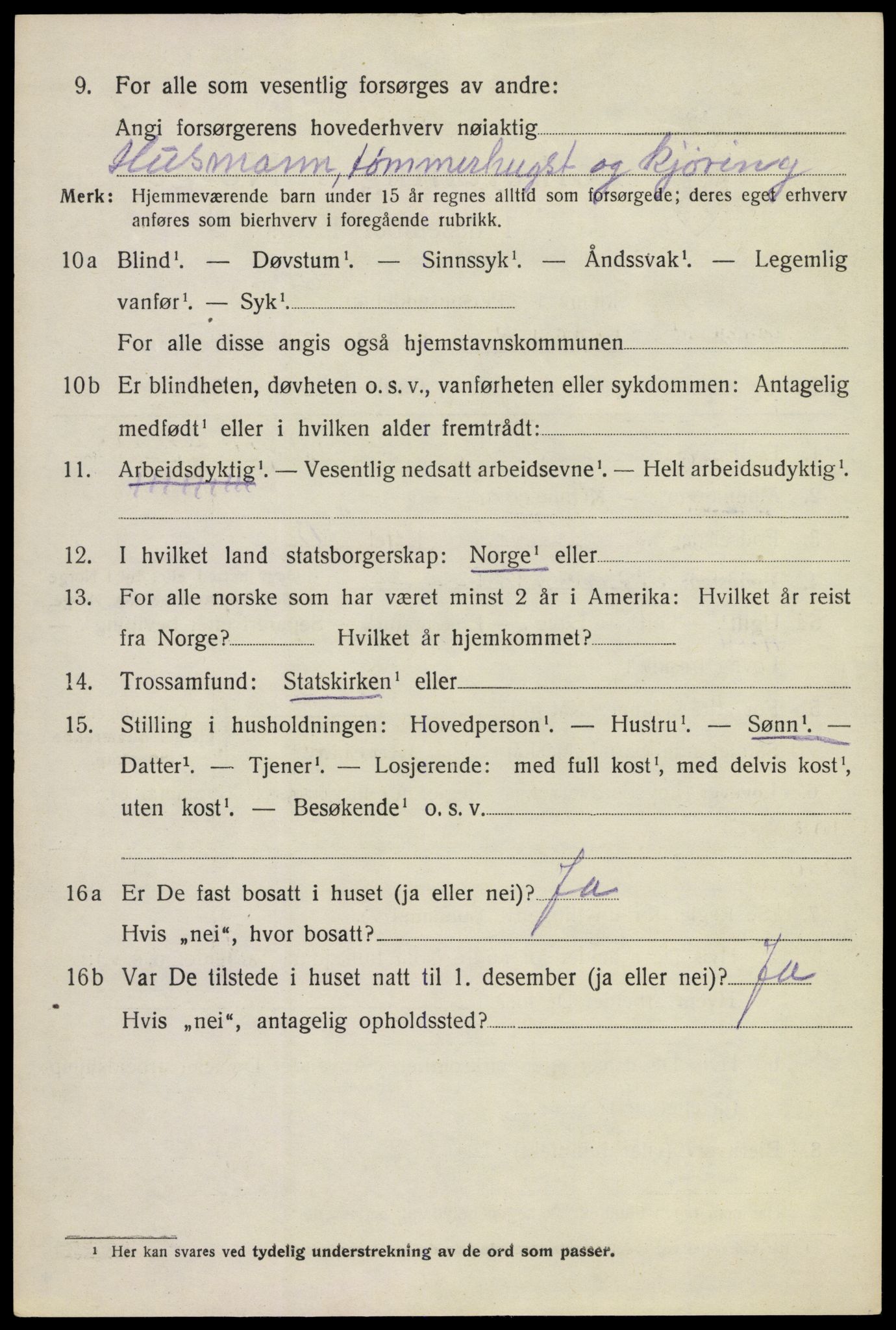 SAKO, 1920 census for Krødsherad, 1920, p. 2816