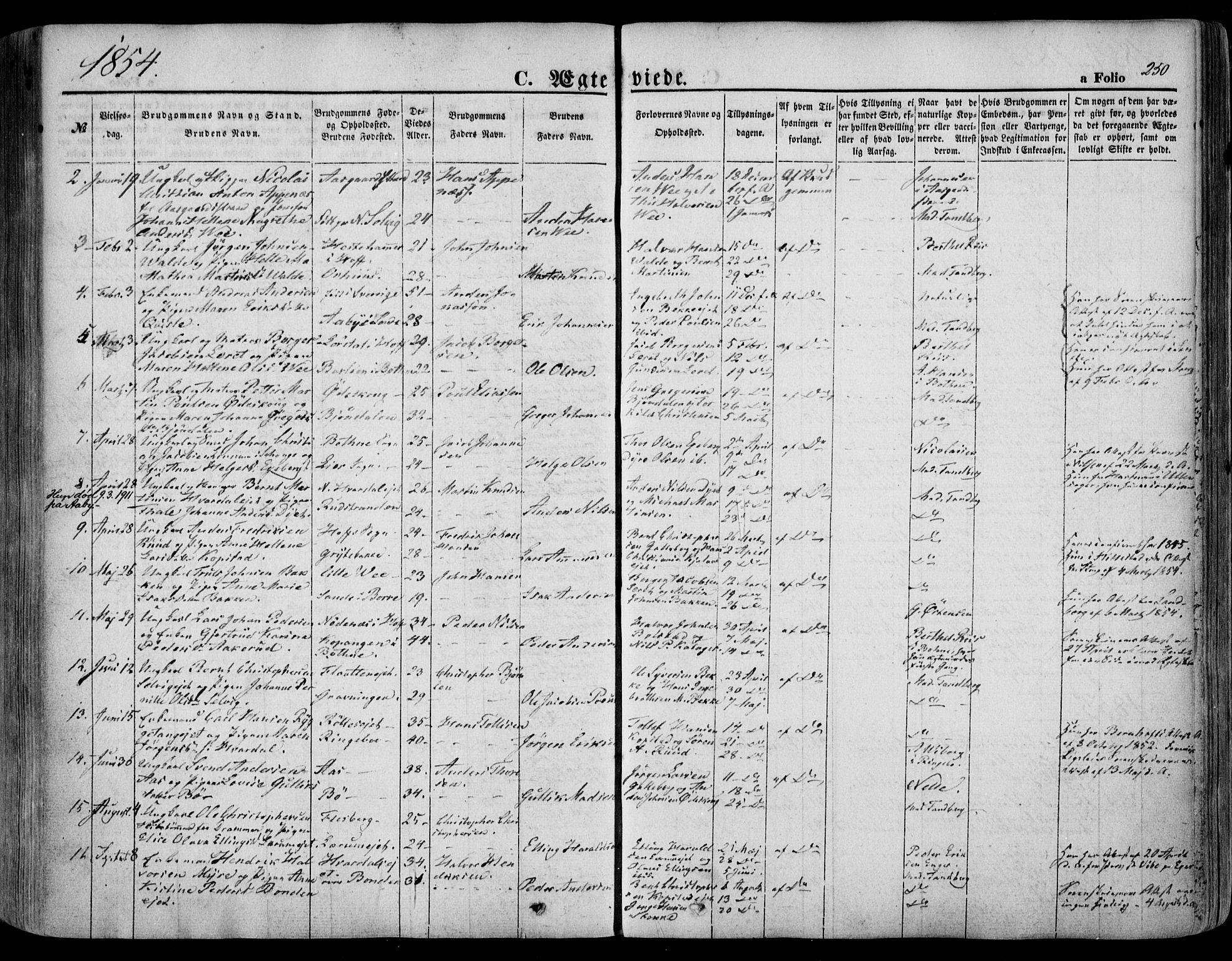 Sande Kirkebøker, SAKO/A-53/F/Fa/L0004: Parish register (official) no. 4, 1847-1864, p. 250
