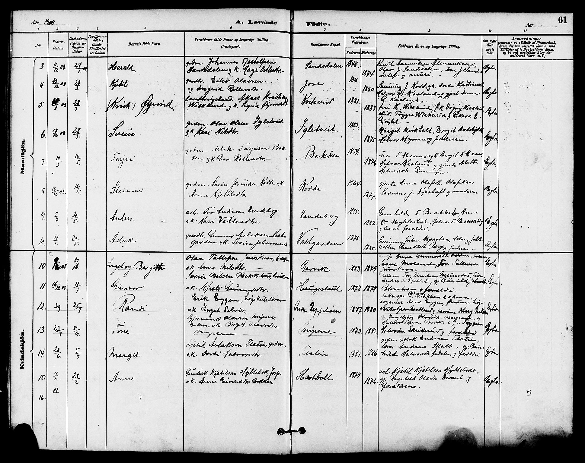 Seljord kirkebøker, SAKO/A-20/G/Ga/L0005: Parish register (copy) no. I 5, 1887-1914, p. 61