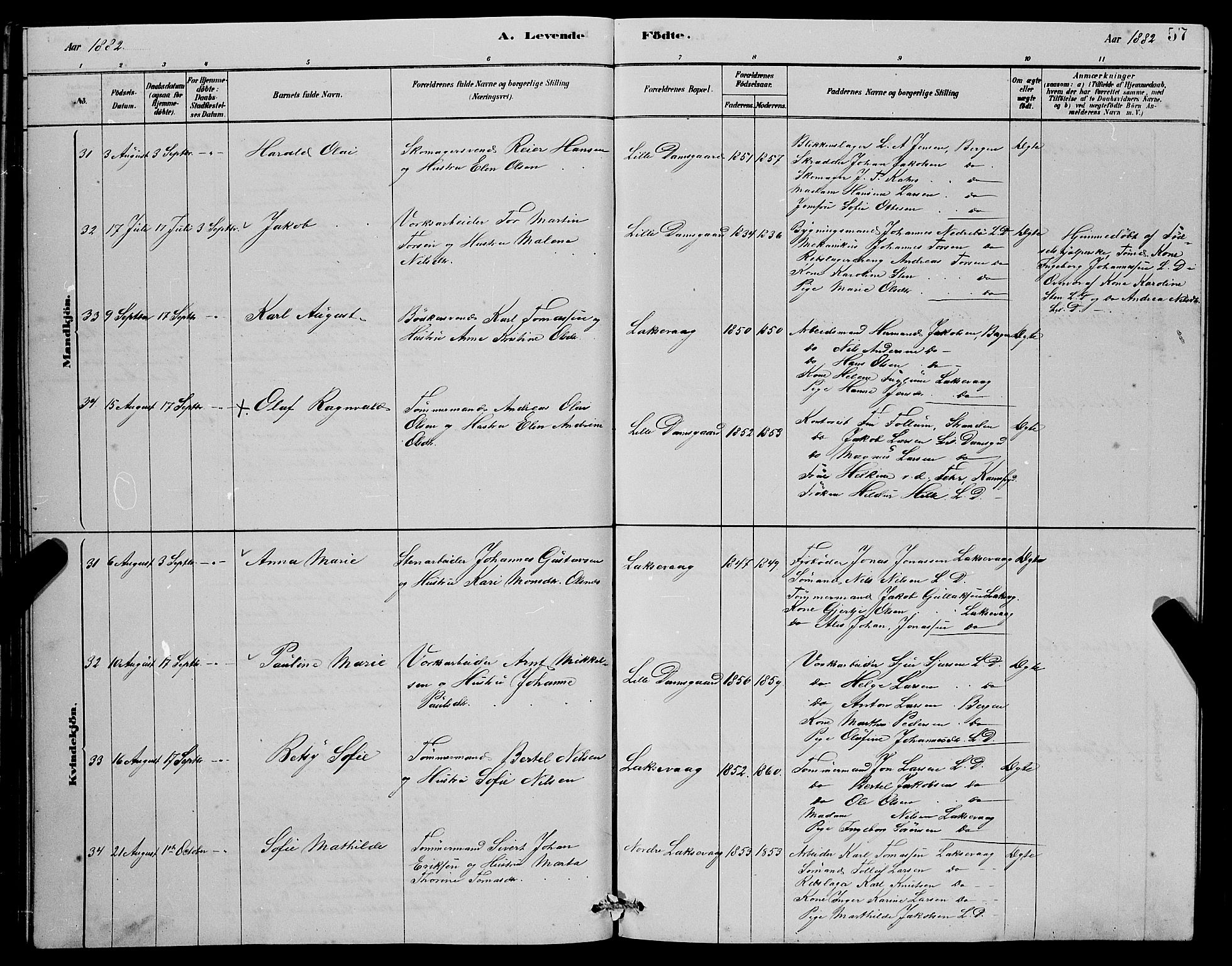 Laksevåg Sokneprestembete, AV/SAB-A-76501/H/Ha/Hab/Haba/L0002: Parish register (copy) no. A 2, 1877-1887, p. 57