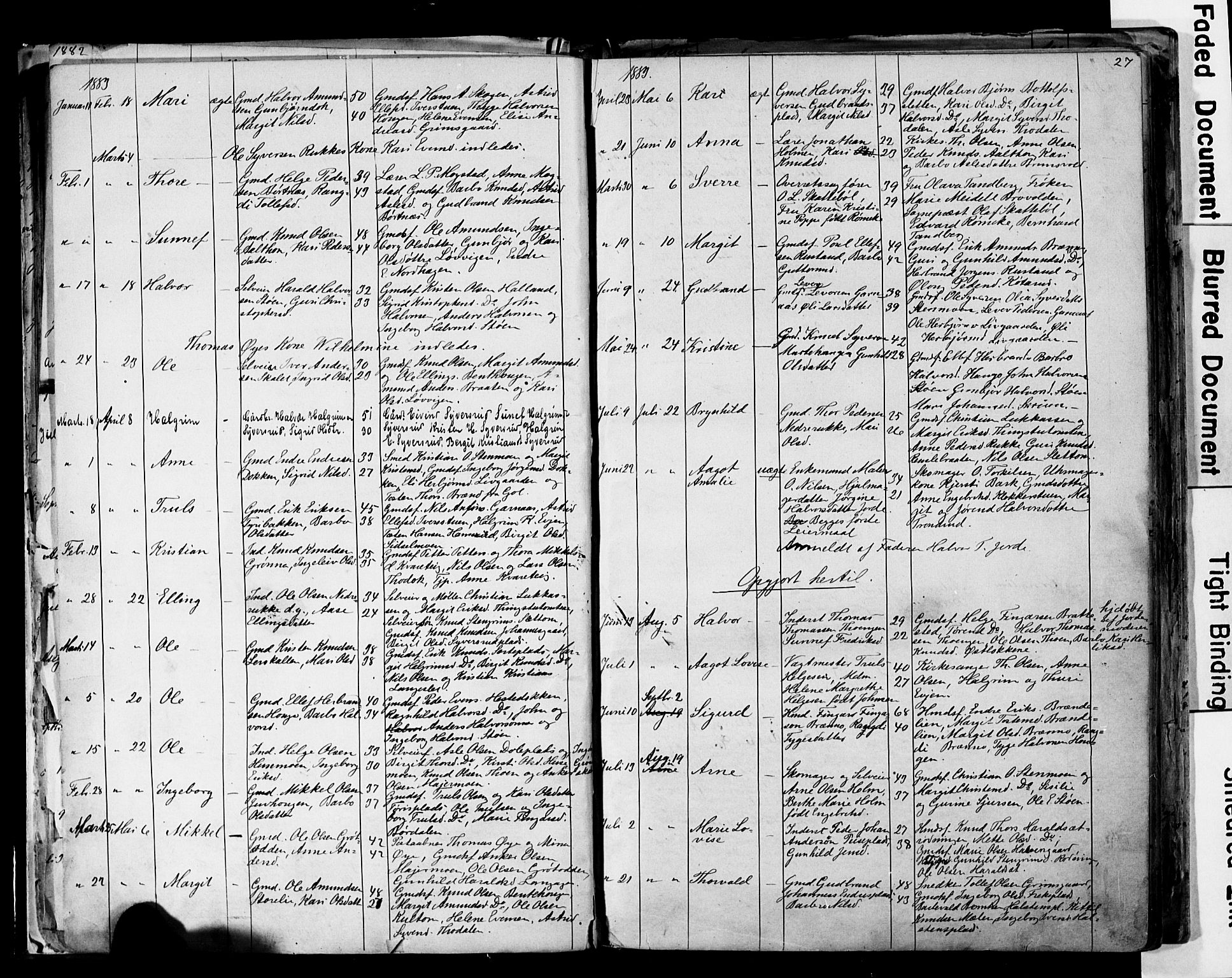 Nes kirkebøker, AV/SAKO-A-236/G/Ga/L0002: Parish register (copy) no. I 2, 1872-1912, p. 27