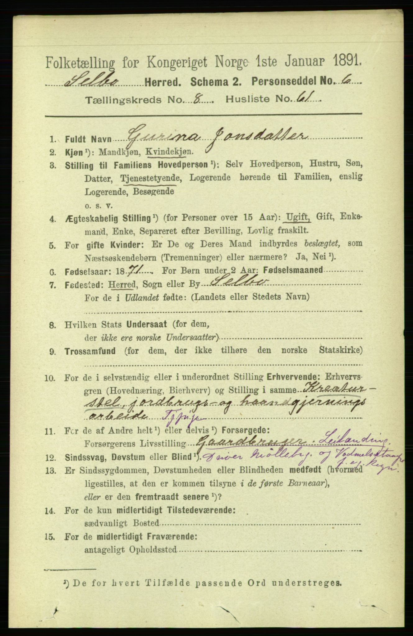 RA, 1891 census for 1664 Selbu, 1891, p. 3299