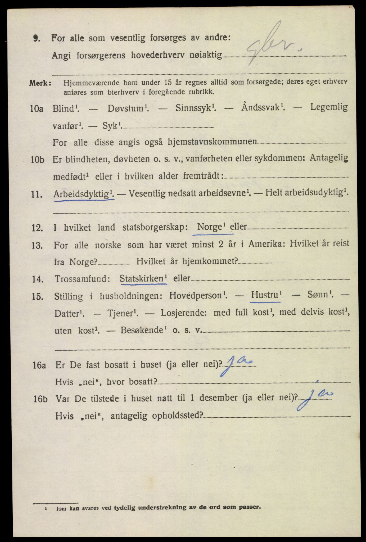 SAK, 1920 census for Nes (V-A), 1920, p. 1527