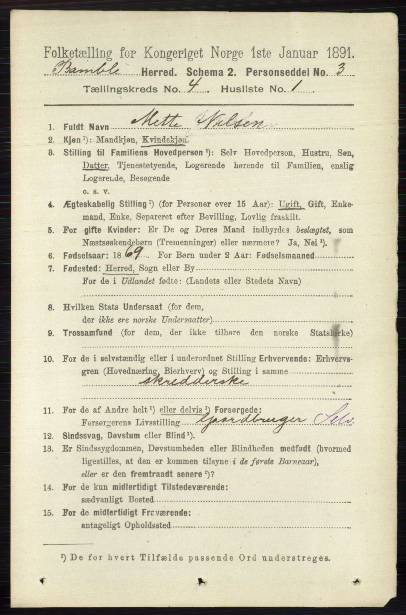 RA, 1891 census for 0814 Bamble, 1891, p. 1818