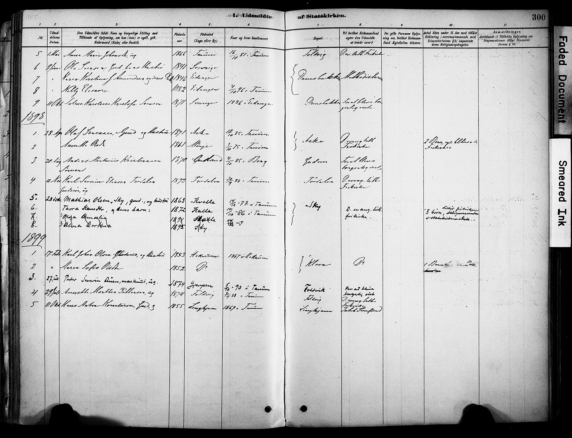 Brunlanes kirkebøker, AV/SAKO-A-342/F/Fc/L0001: Parish register (official) no. III 1, 1878-1899, p. 300