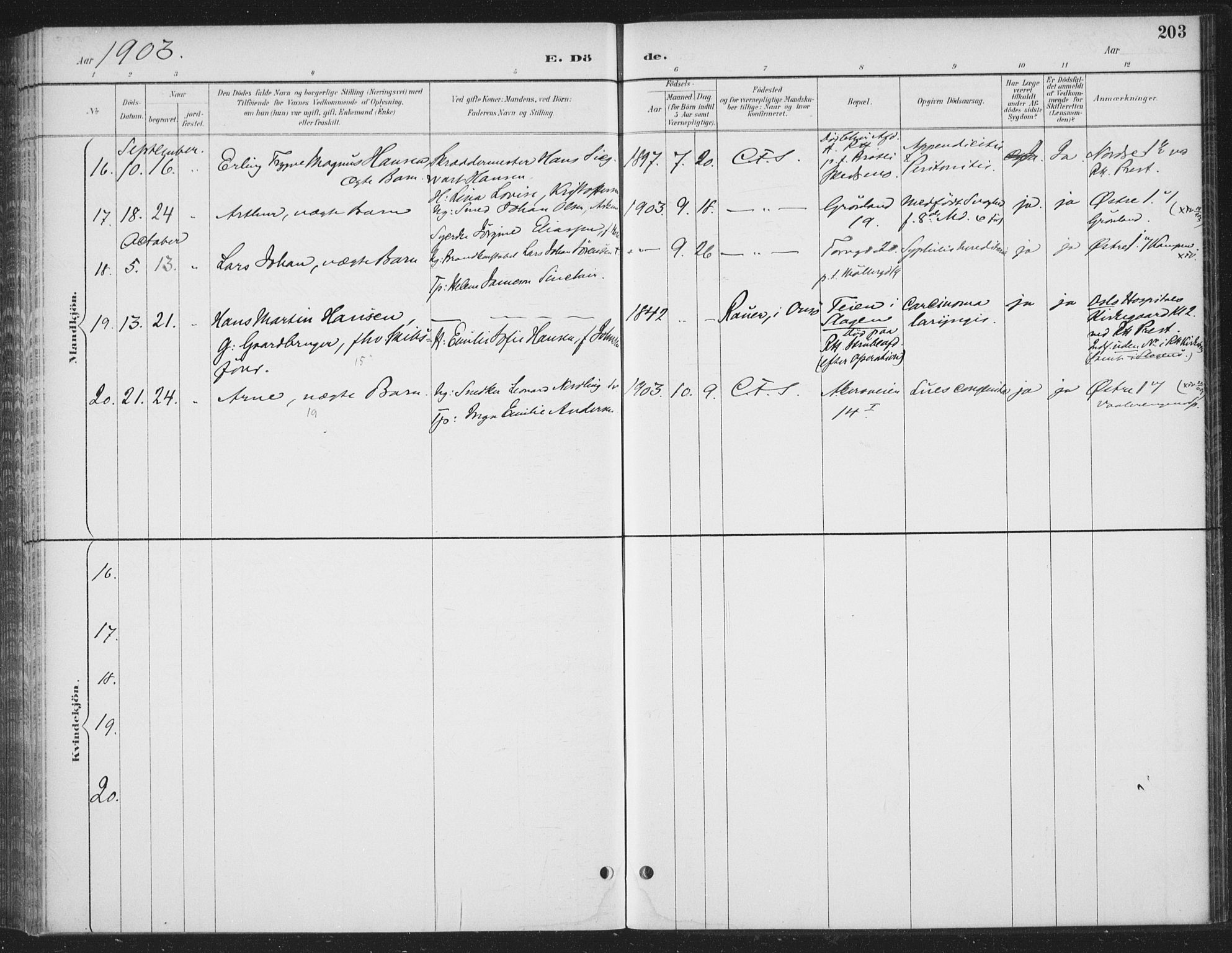 Rikshospitalet prestekontor Kirkebøker, AV/SAO-A-10309b/F/L0010: Parish register (official) no. 10, 1888-1912, p. 203