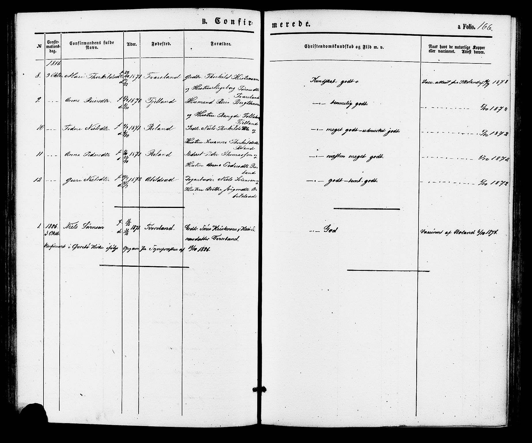 Bjelland sokneprestkontor, SAK/1111-0005/F/Fa/Faa/L0003: Parish register (official) no. A 3, 1867-1887, p. 166