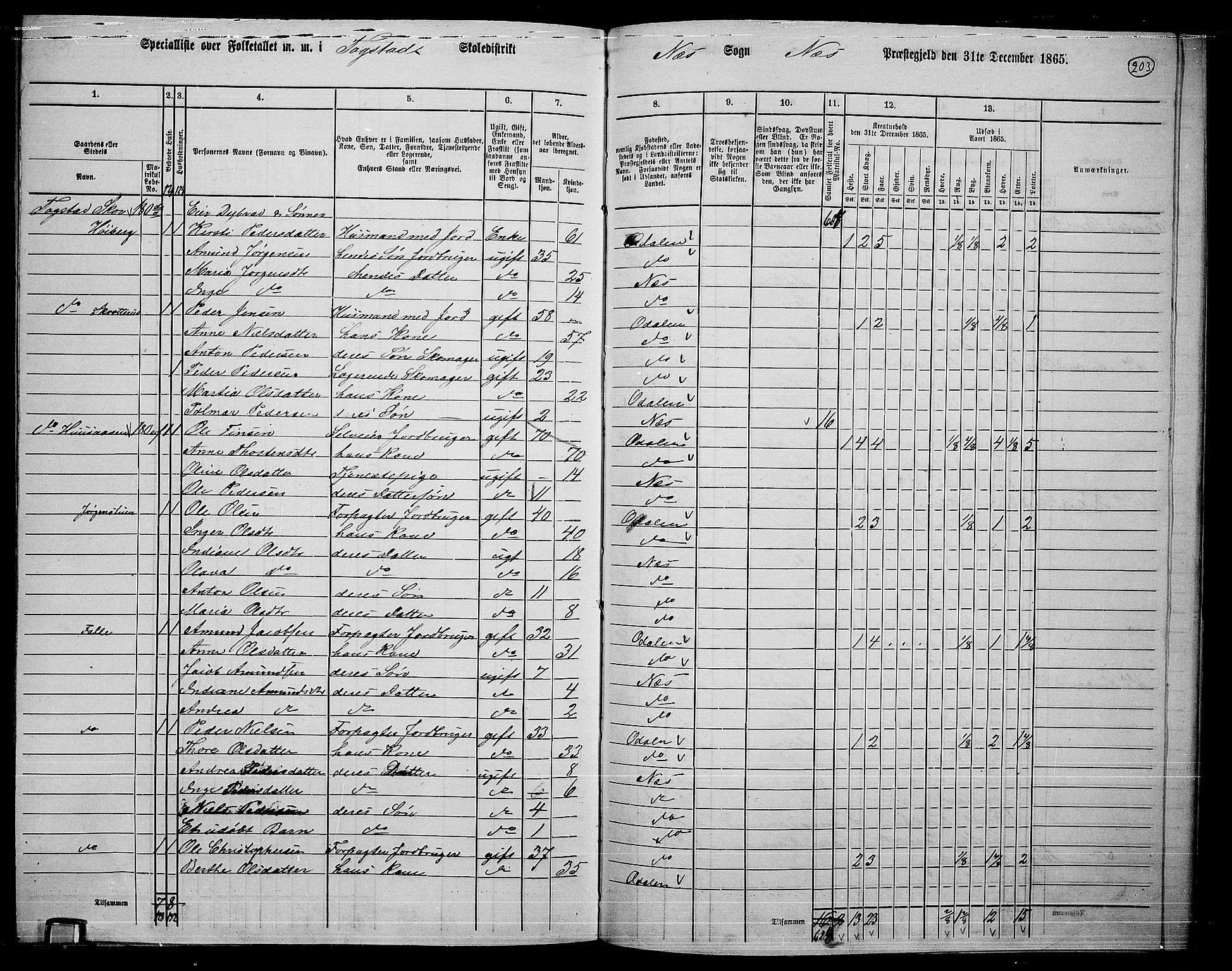 RA, 1865 census for Nes, 1865, p. 186