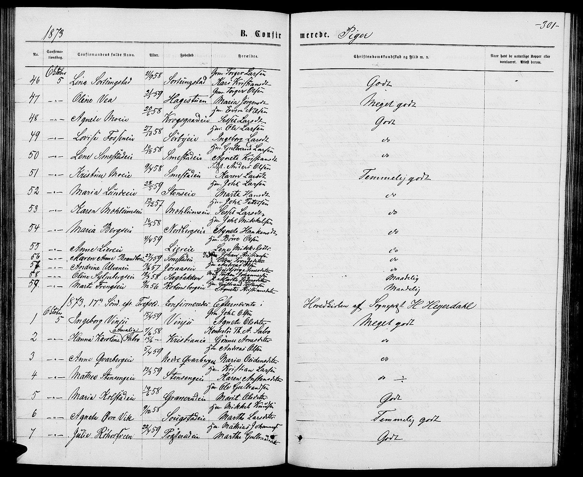 Ringsaker prestekontor, AV/SAH-PREST-014/L/La/L0008: Parish register (copy) no. 8, 1870-1878, p. 301